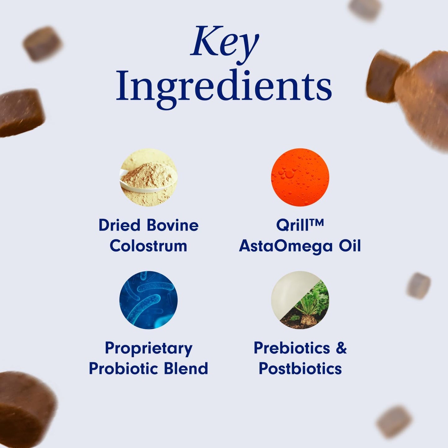 Daily Probiotics for Dogs | Supports Immune System, Allergies, and Digestive Health | 30 Chews | PetLab Co.