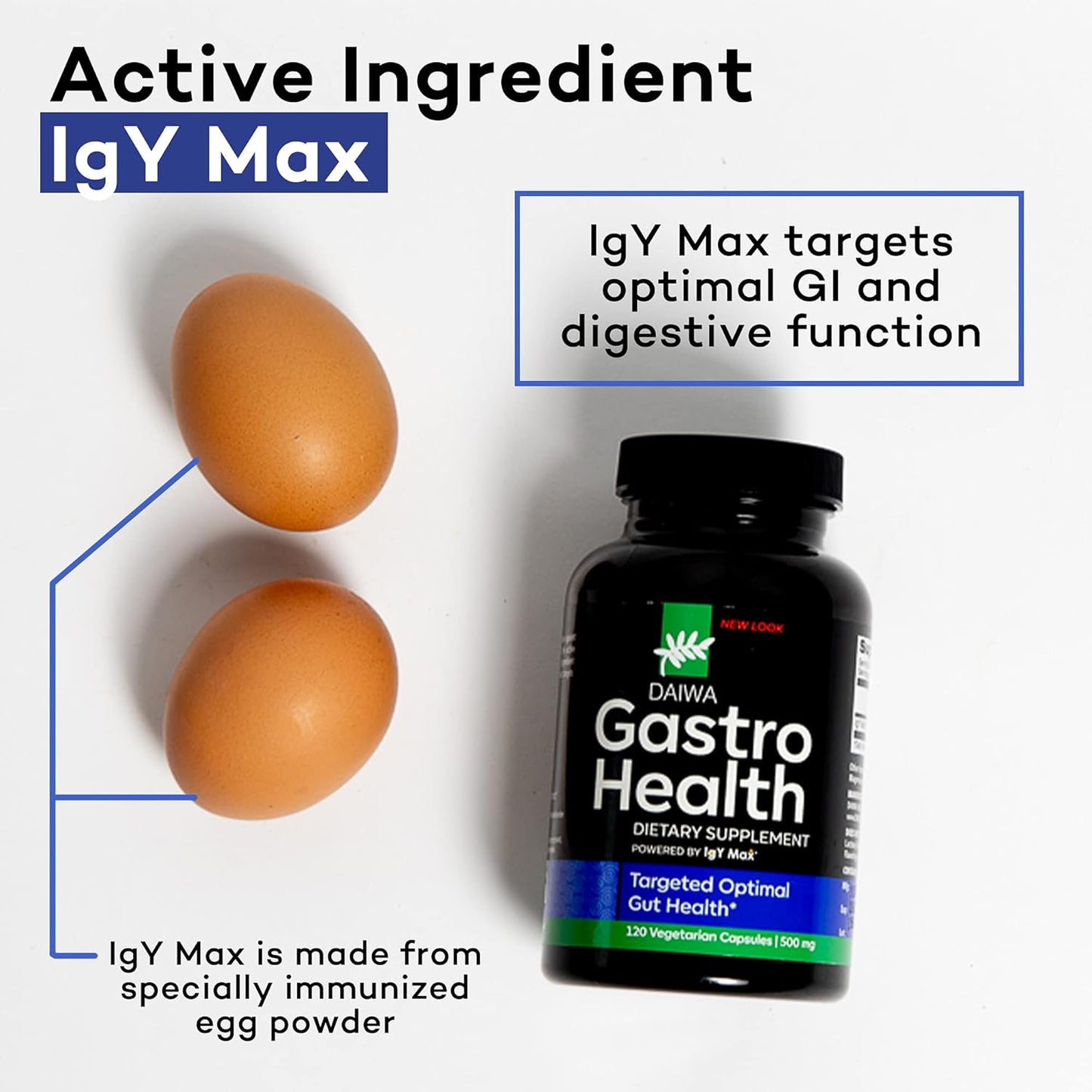 Daiwa Gastro Health Digestion Aid Supplements - 120 Count for Gut Health & Immune Support