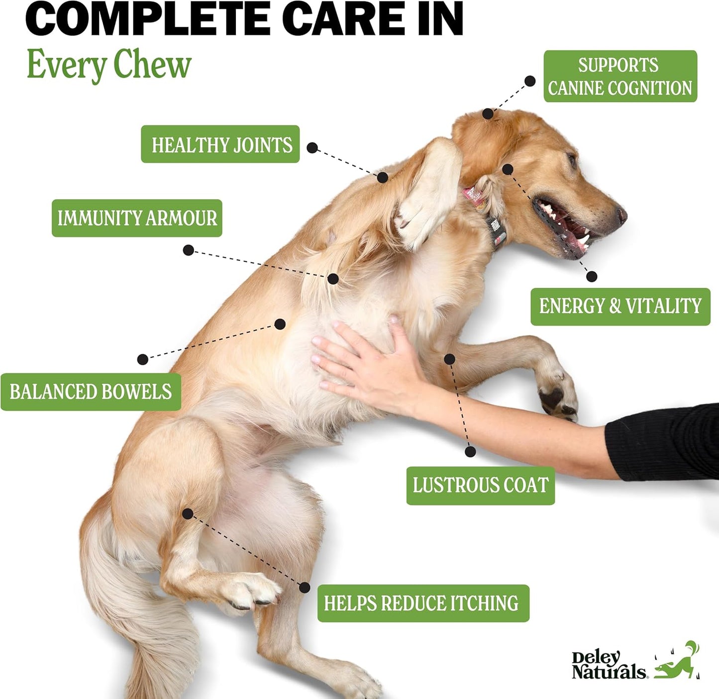 Deley Naturals Dog Multivitamins Chewable - Comprehensive 15-in-1 Formula for Immune Health, Skin, Joints, Digestion - USA Made Dog Vitamins for All Ages