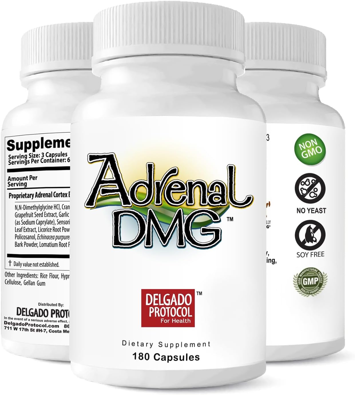 Delgado Protocol Adrenal DMG - 180 Capsules - Support Daytime Energy, Better Sleep, Immune System, Reduce Stress Levels, and Fatigue - All Natural Supplement