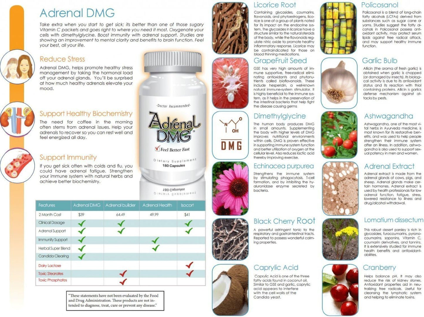 Delgado Protocol Adrenal DMG - 180 Capsules - Support Daytime Energy, Better Sleep, Immune System, Reduce Stress Levels, and Fatigue - All Natural Supplement