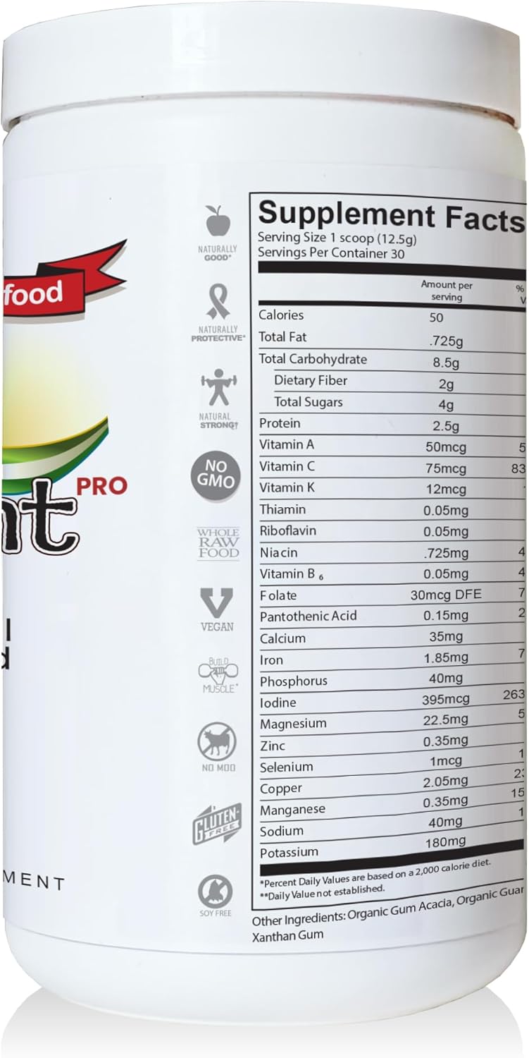 Delgado Protocol SlimPlant Pro Superfood Protein Powder with 35 Vitamins & Minerals - Natural Whole Food Ingredients (13.2 oz)