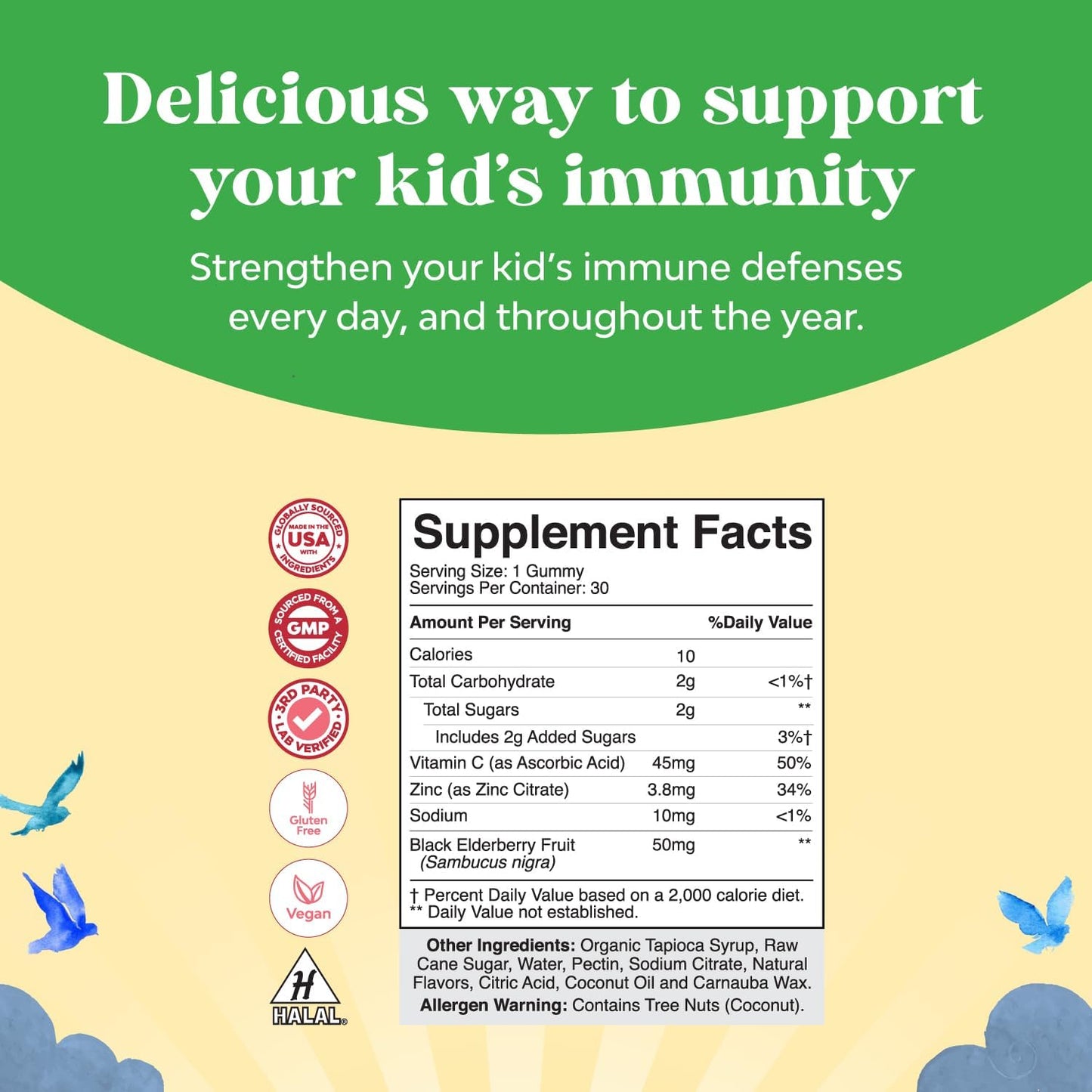 Delicious Elderberry Gummies for Kids with Zinc and Vitamin C - Vegan Immune Support for Children - Gluten-Free and Non-GMO - BoostGo Australia