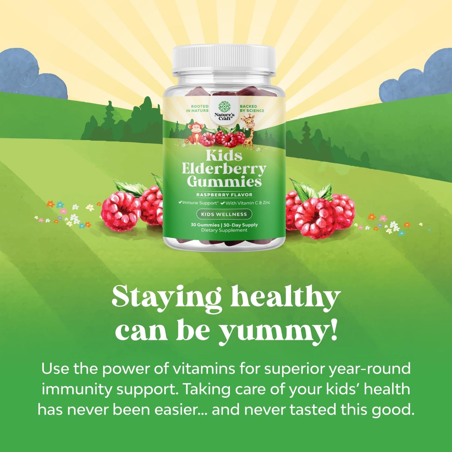 Delicious Elderberry Gummies for Kids with Zinc and Vitamin C - Vegan Immune Support for Children - Gluten-Free and Non-GMO - BoostGo Australia