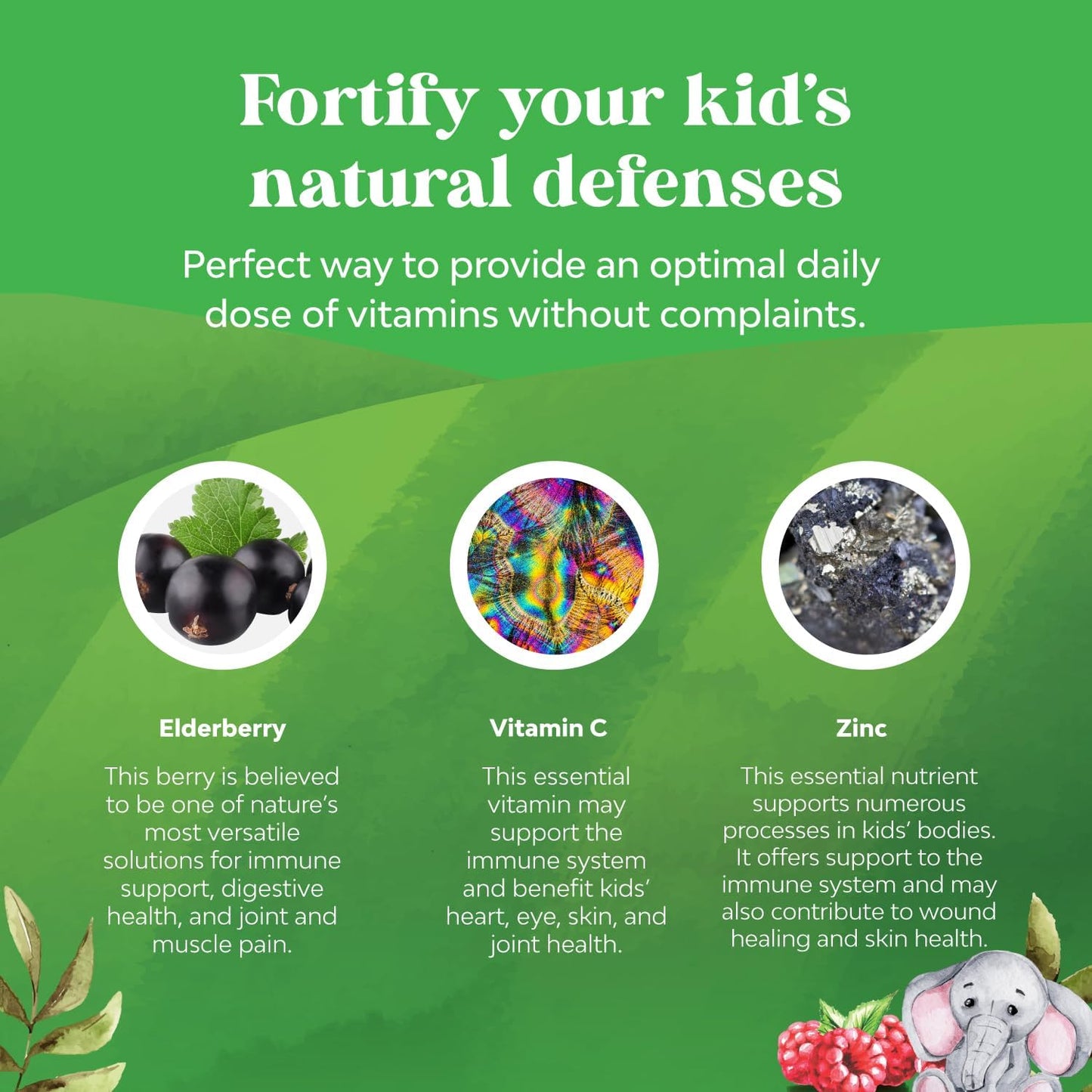 Delicious Elderberry Gummies for Kids with Zinc and Vitamin C - Vegan Immune Support for Children - Gluten-Free and Non-GMO - BoostGo Australia