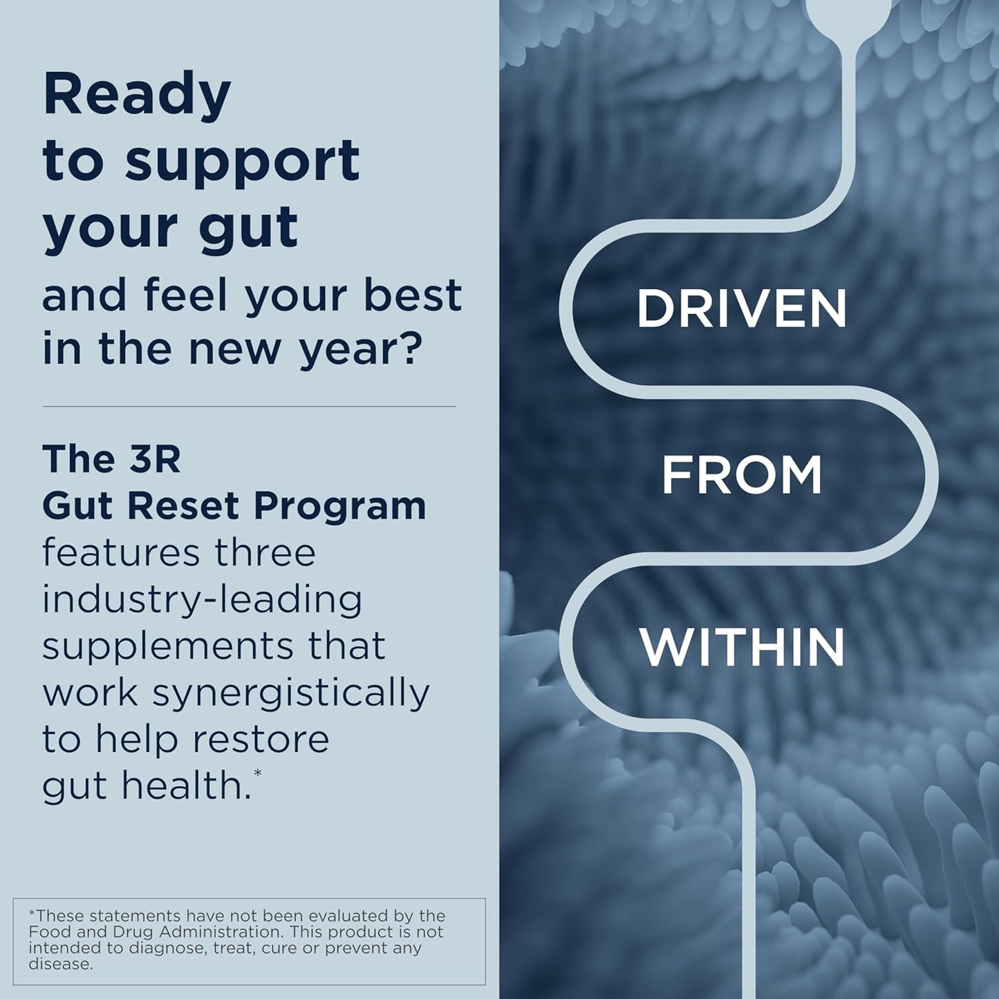 Designs for Health 3R Gut Reset Bundle - IgGI Immunoglobulin Capsules, ProbioMed 50 Probiotic, GI Revive Supplement (3 Products)