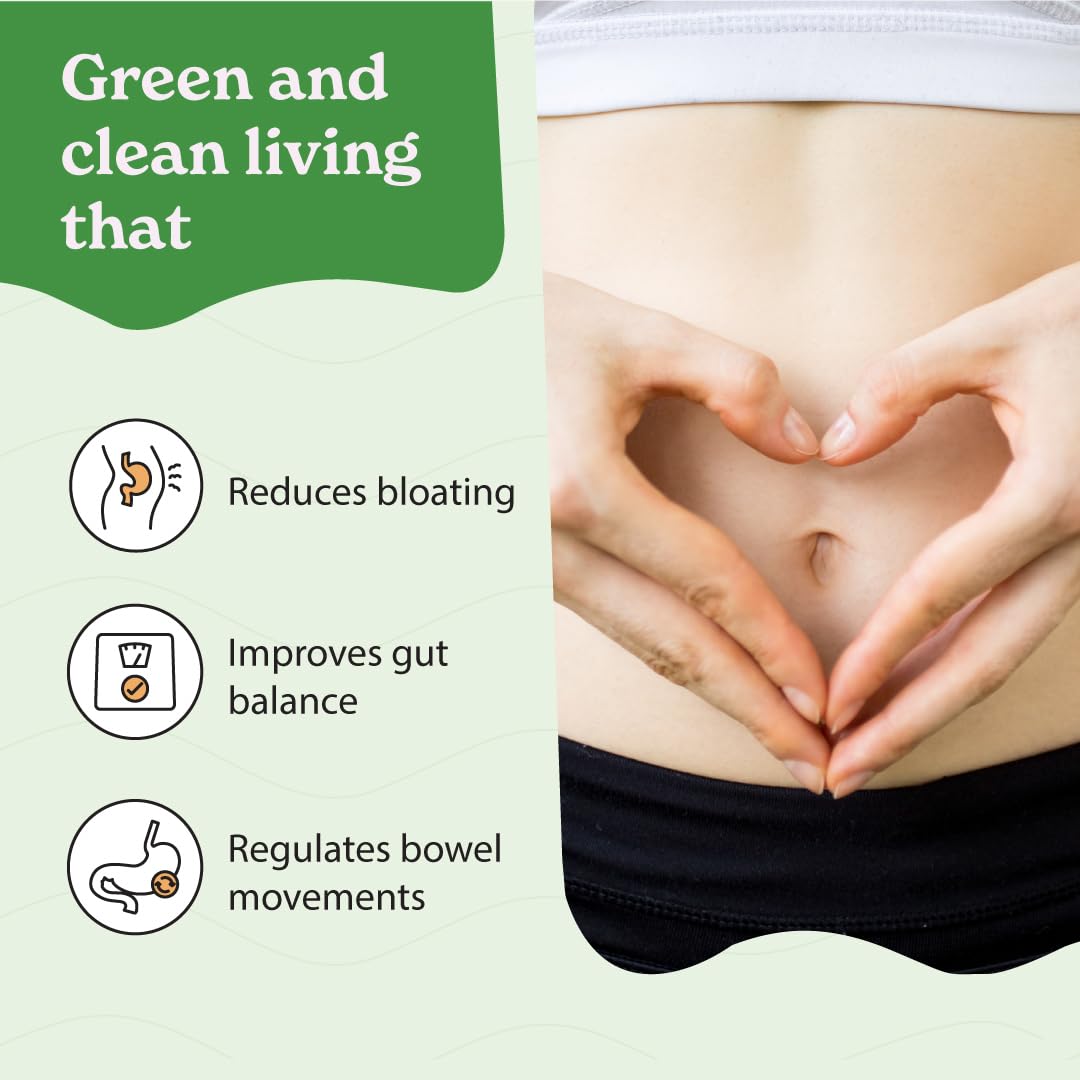 Detox and Debloat with Mint Flavored Super Greens Powder - 15 Blended Superfoods, Pre & Probiotics, Antioxidants - No Maltodextrin, 30 Servings - BoostGo Australia