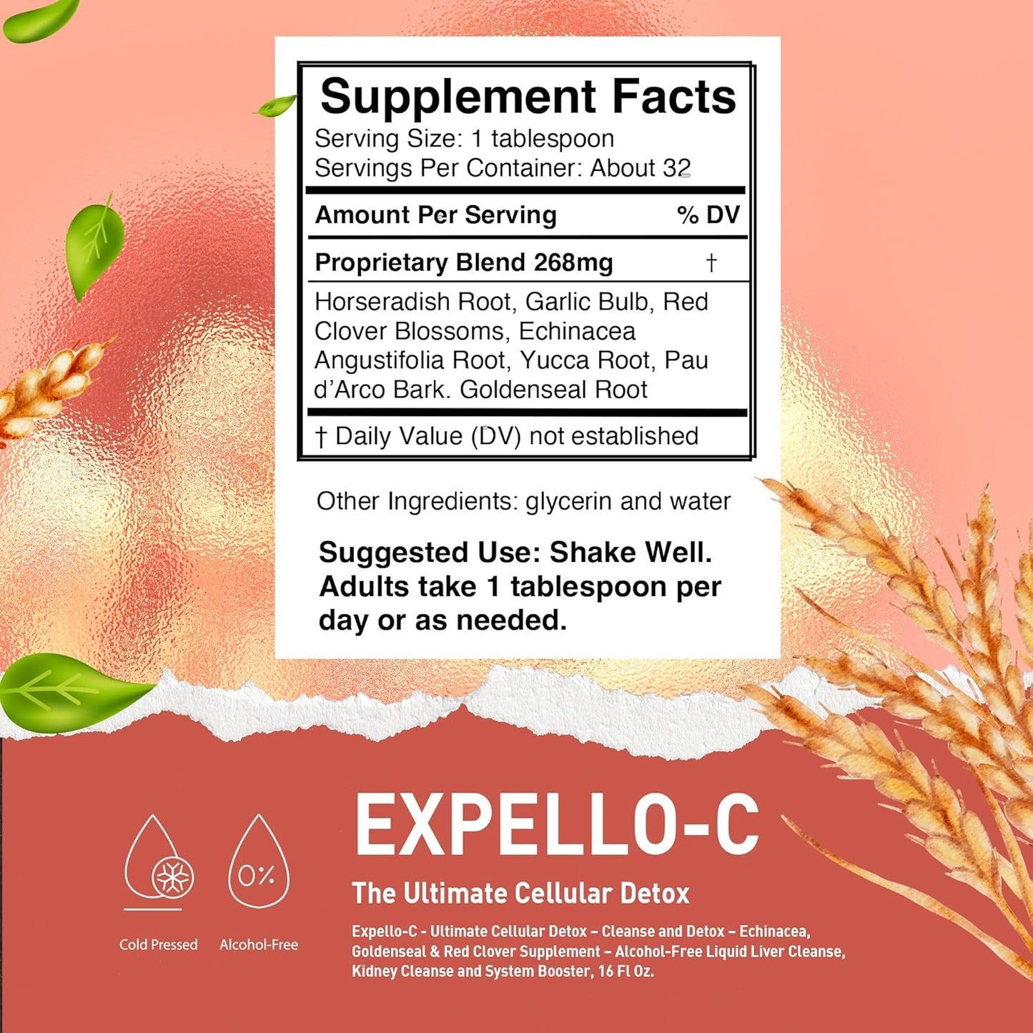 Detox Complete Liquid Supplement - Echinacea, Goldenseal & Red Clover - Alcohol-Free Cleanse for Liver, Kidneys & Immune System - 16 Fl Oz
