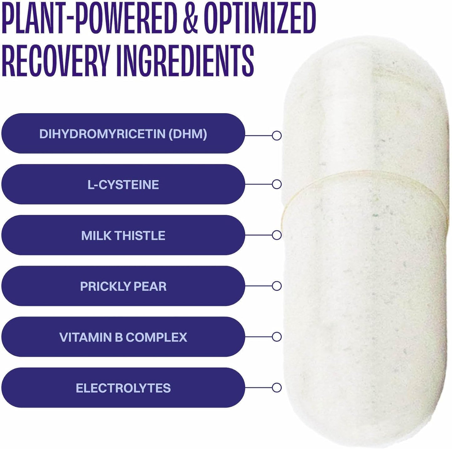 DHM Detox Supplement, No Days Wasted, 30 Servings - Enhance Next Day Recovery by Taking in the Evening