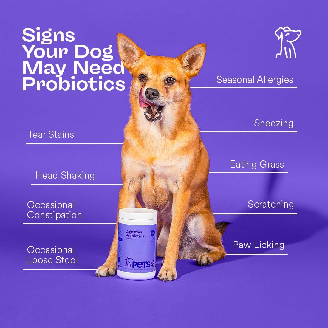 Digestive Dog Probiotics with Enzymes for Healthy Gut Flora - Immune Support - Stomach Comfort - Vet-Strength Formula - 30-Day Results