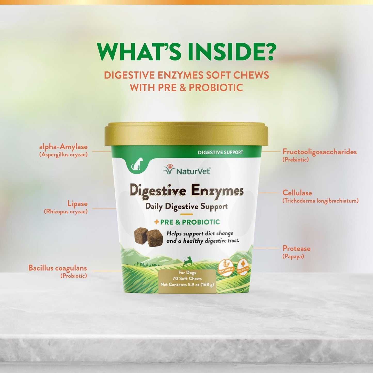 Digestive Enzymes with Probiotics and Prebiotics for Dogs and Cats - Supports Healthy Digestion and Diet Transition - 70 Soft Chews