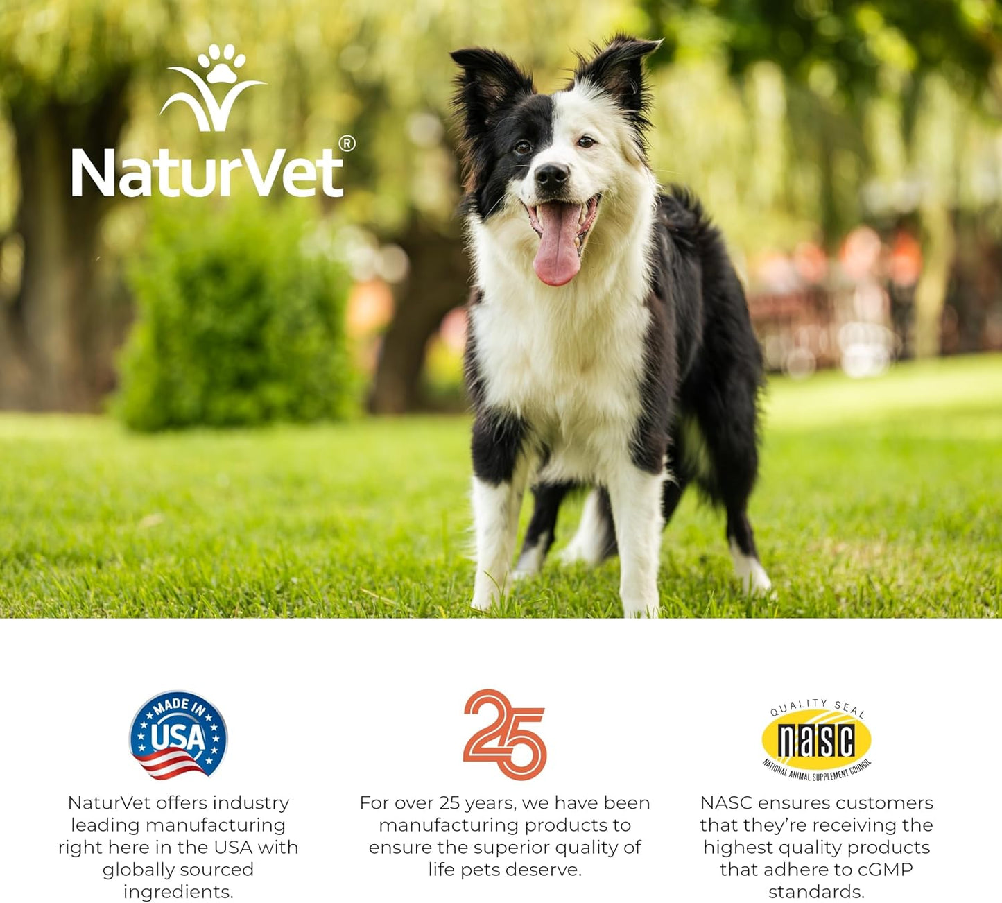 Digestive Enzymes with Probiotics and Prebiotics for Dogs and Cats - Supports Healthy Digestion and Diet Transition - 70 Soft Chews