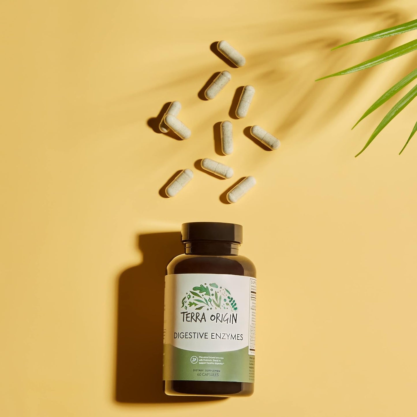 Digestive Enzymes with Probiotics for Healthy Digestion - 60 Servings, Gluten-Free, Made in USA