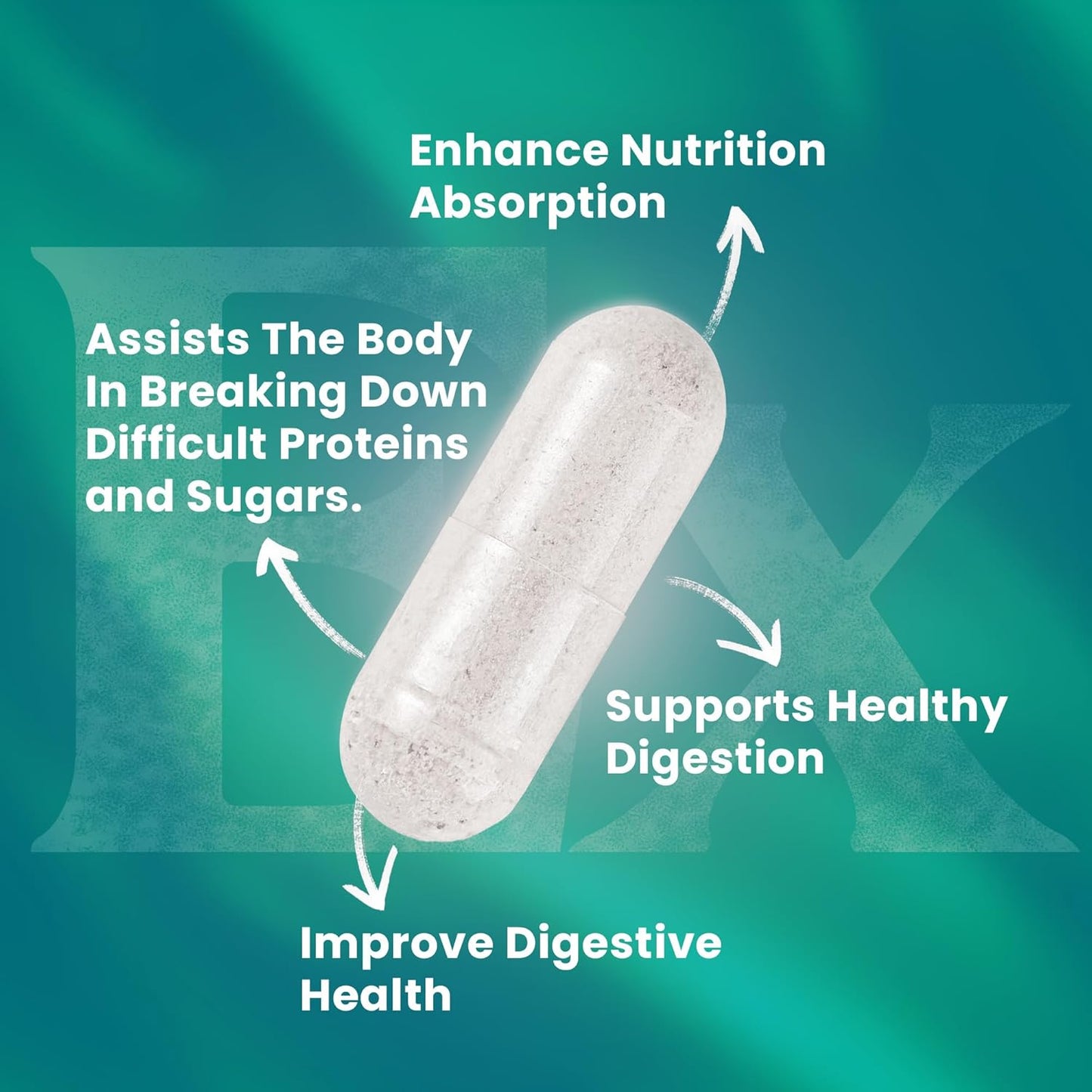 Digestive Enzymes with Probiotics for Meal Time Discomfort Relief - Vegan Formula with Bromelain, Papaya, Probiotic, Lactase - 60 Ct