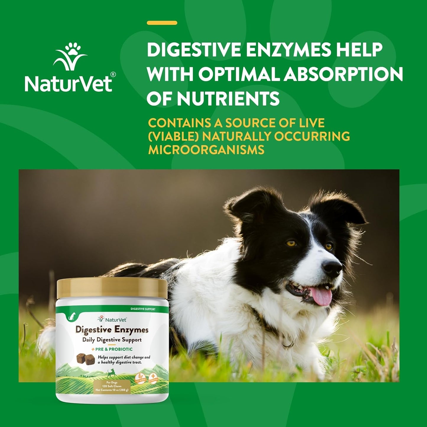 Digestive Enzymes with Probiotics & Prebiotics for Dogs & Cats (Soft Chews, 120 Count) - Supports Healthy Digestion & Diet Transition