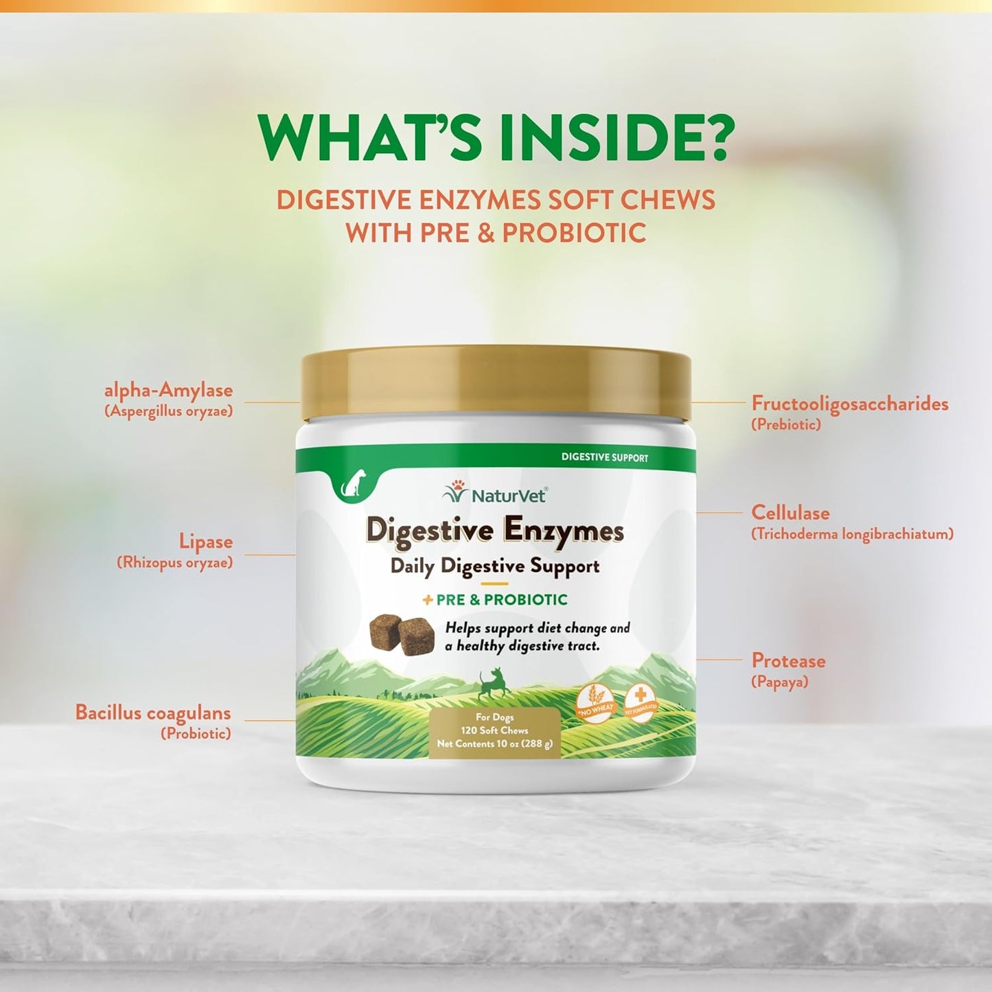 Digestive Enzymes with Probiotics & Prebiotics for Dogs & Cats (Soft Chews, 120 Count) - Supports Healthy Digestion & Diet Transition