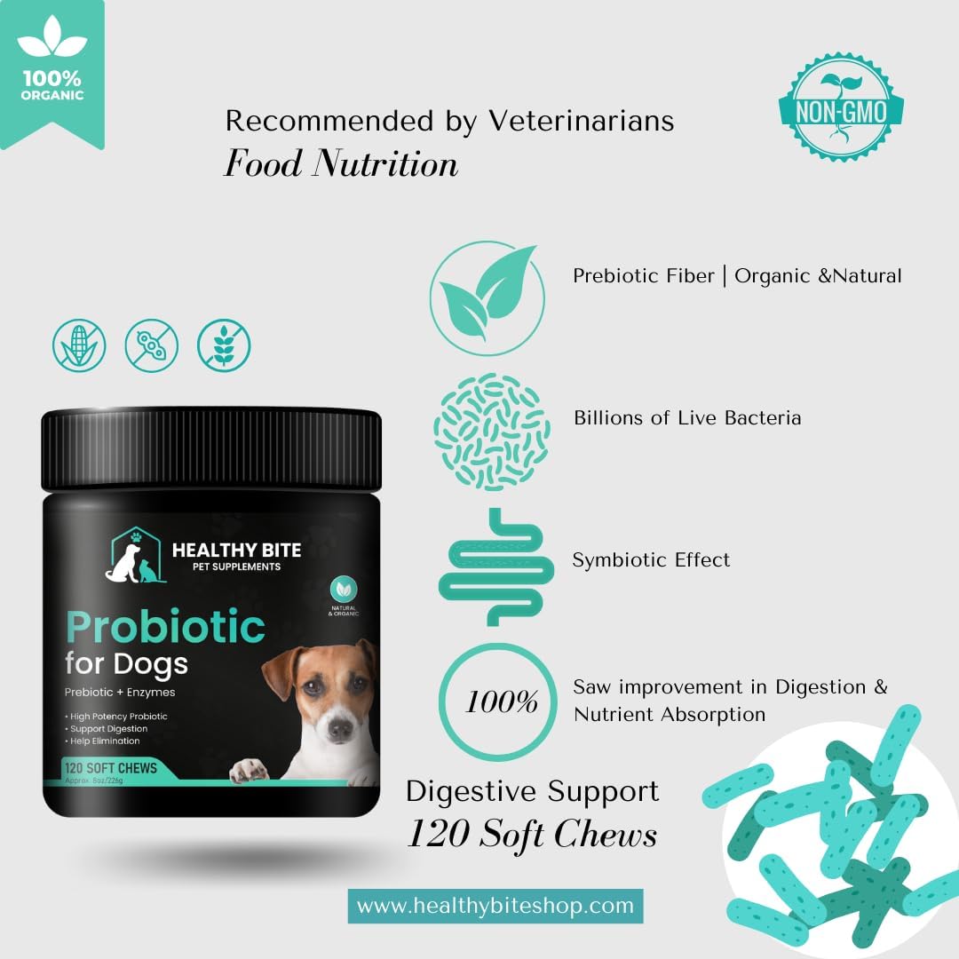 Digestive Health Boost for Dogs - Probiotic Chews with 6 Strains, 120 Count - Made in USA - Supports Gut Health, Diarrhea, Itching