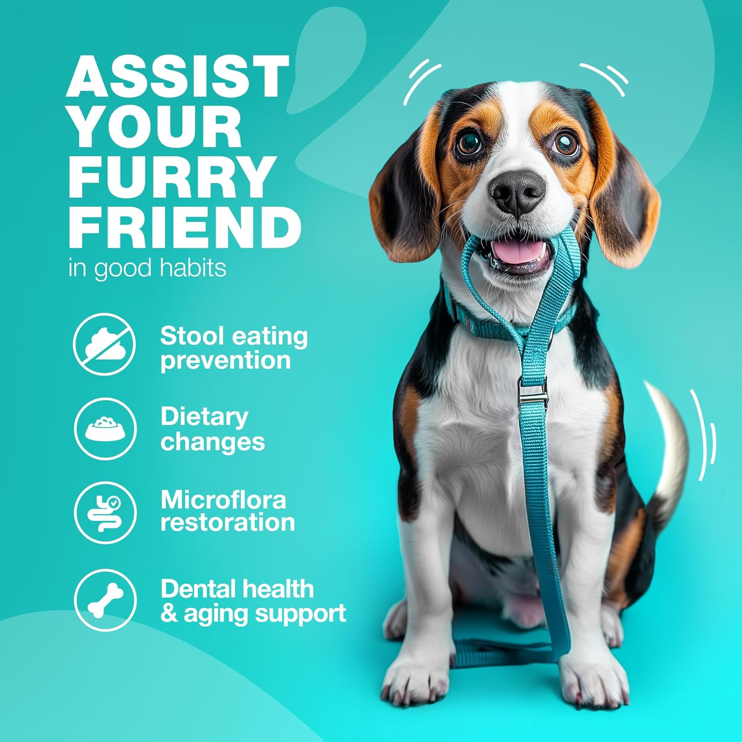 Digestive Health Chews for Dogs - No Poo & Stool Eating Deterrent - Probiotics for Dogs - Immune Health Treats for Dogs