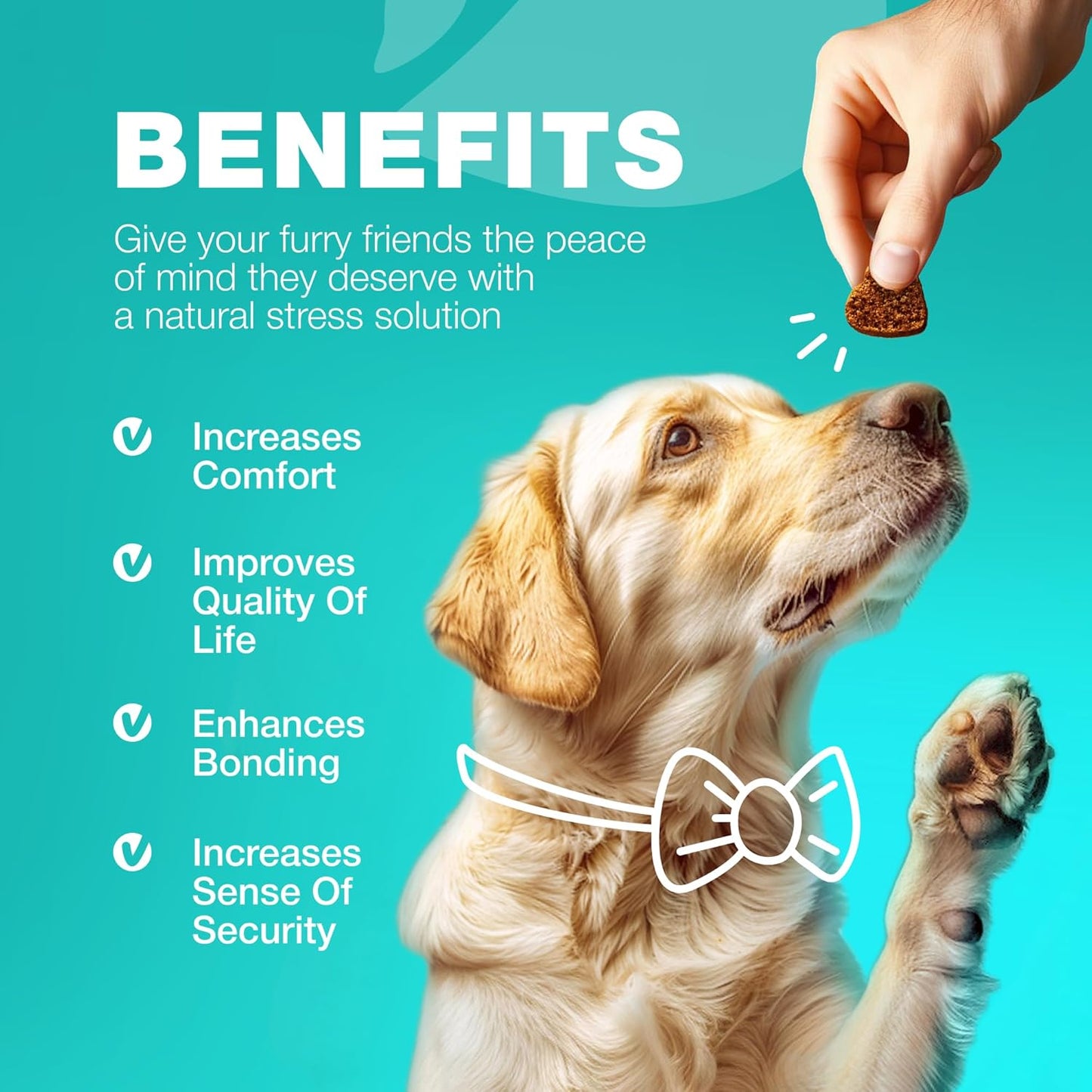 Digestive Health Chews for Dogs - No Poo & Stool Eating Deterrent - Probiotics for Dogs - Immune Health Treats for Dogs