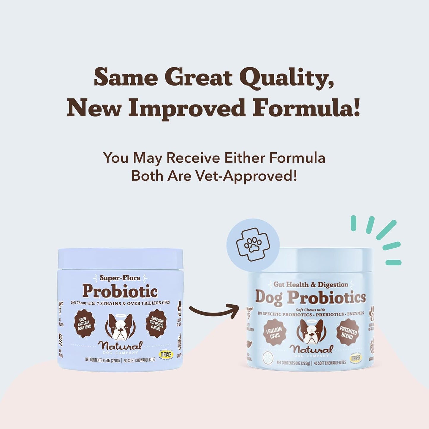Digestive Health Chews for Dogs with Probiotics, Prebiotics, and Enzymes (45 Count) - Supports Digestion, Gas, and Immune System - Natural Dog Company
