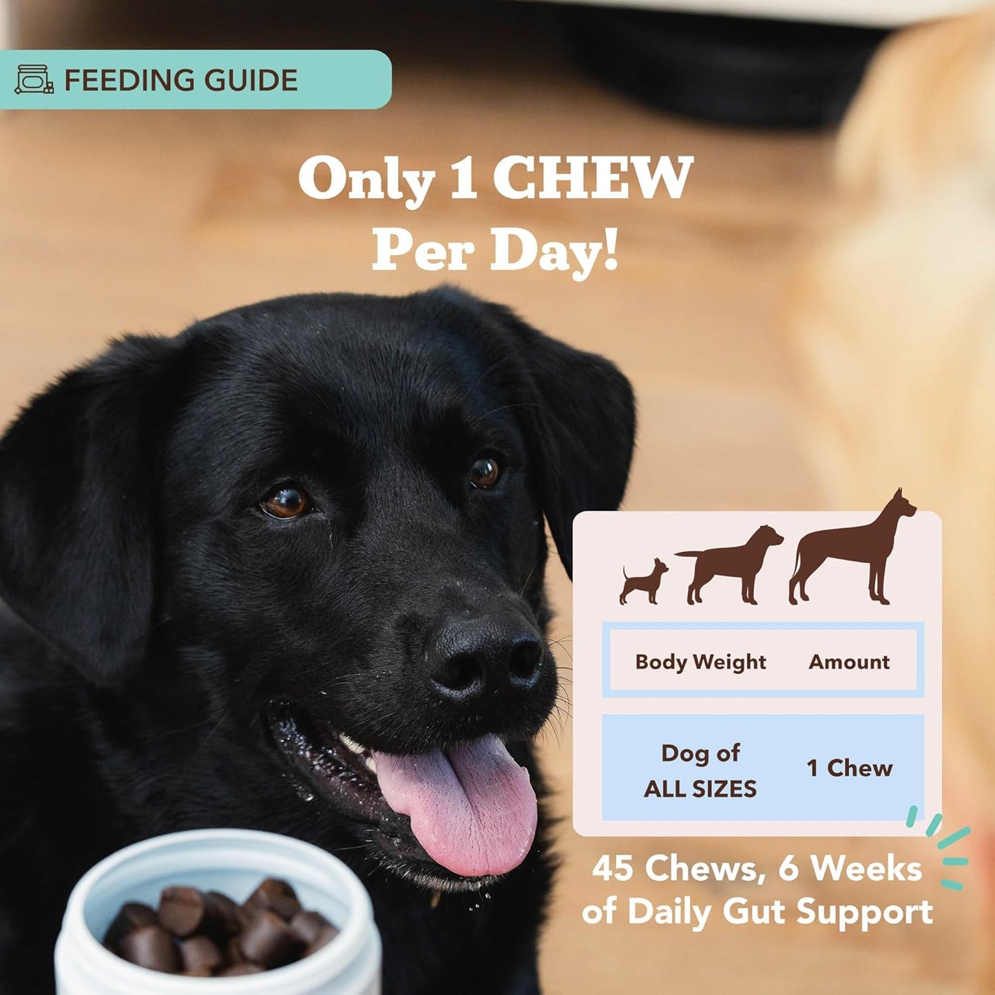 Digestive Health Chews for Dogs with Probiotics, Prebiotics, and Enzymes (45 Count) - Supports Digestion, Gas, and Immune System - Natural Dog Company