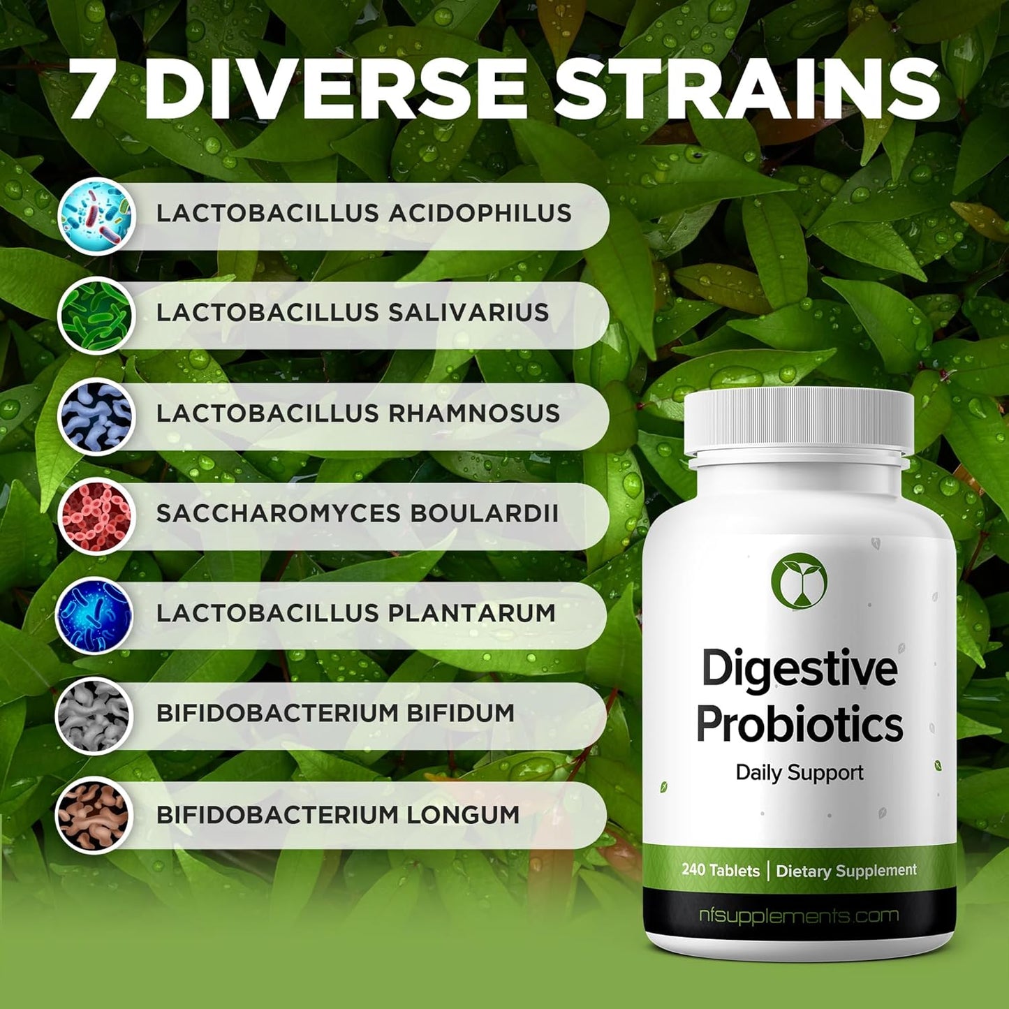 Digestive Health Probiotic Supplement Tablets with 3 Billion CFU - Natural Foundation Support for Men & Women - Made in USA (240 Count)