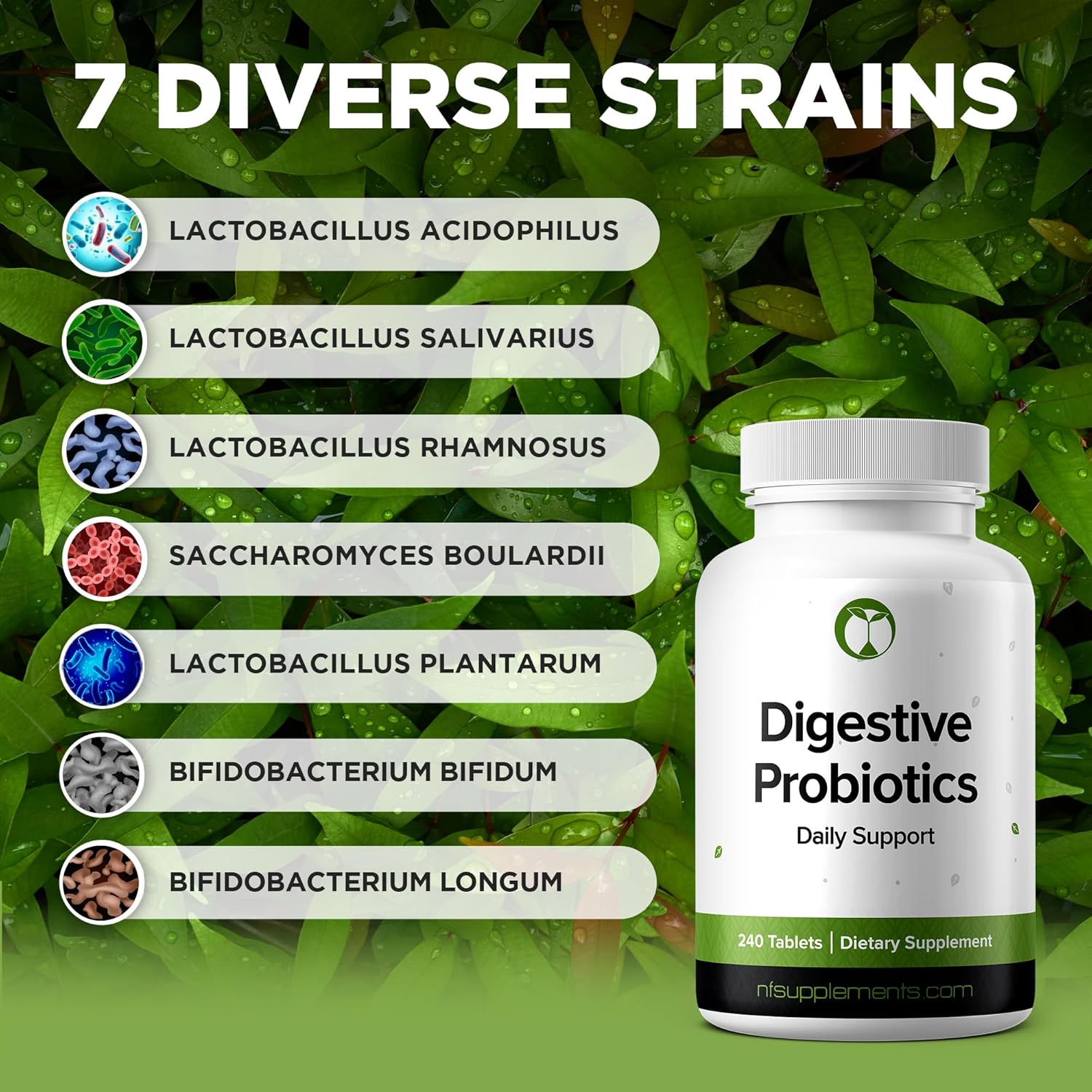 Digestive Health Probiotic Supplement Tablets with 3 Billion CFU - Natural Foundation Support for Men & Women - Made in USA (240 Count)