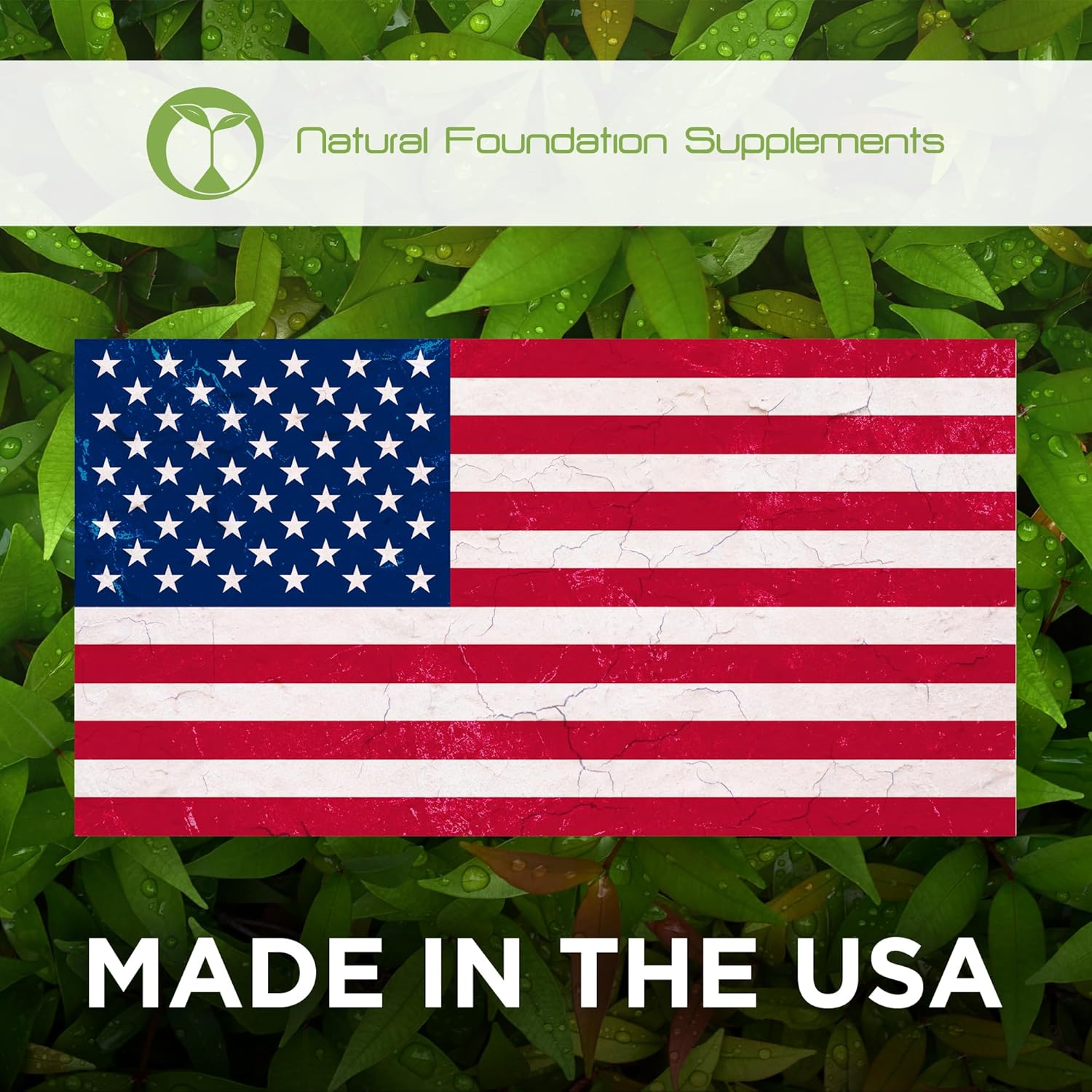 Digestive Health Probiotic Supplement Tablets with 3 Billion CFU - Natural Foundation Support for Men & Women - Made in USA (240 Count)