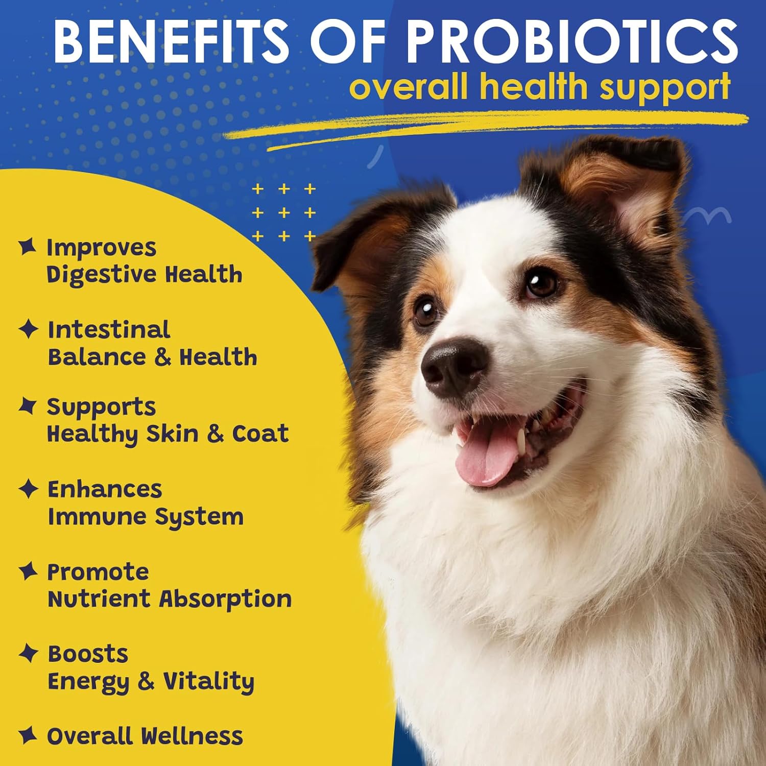 Digestive Health Probiotics for Dogs with Prebiotics, Enzymes, Fiber, Omega-3, and Vitamins - 120 Bites to Support Immunity and Skin Health