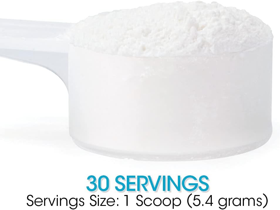 Digestive Health Supplement Powder with L-Glutamine, Curcumin, Zinc & Ascorbic Acid - Silver Fern Gut Repair