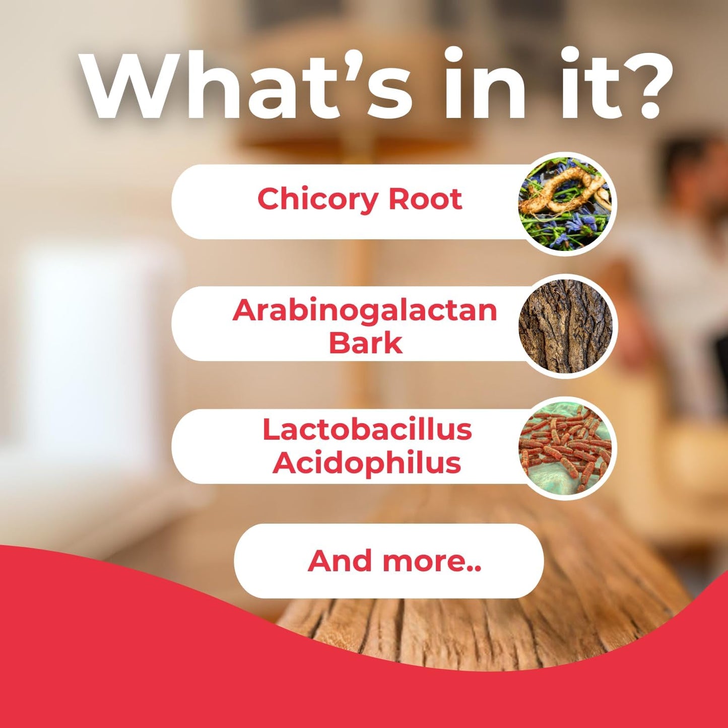 Digestive Health Supplement with Prebiotics, Probiotics, and Enzymes - Gluten-Free, Dairy-Free - 180 Capsules, 60 Servings