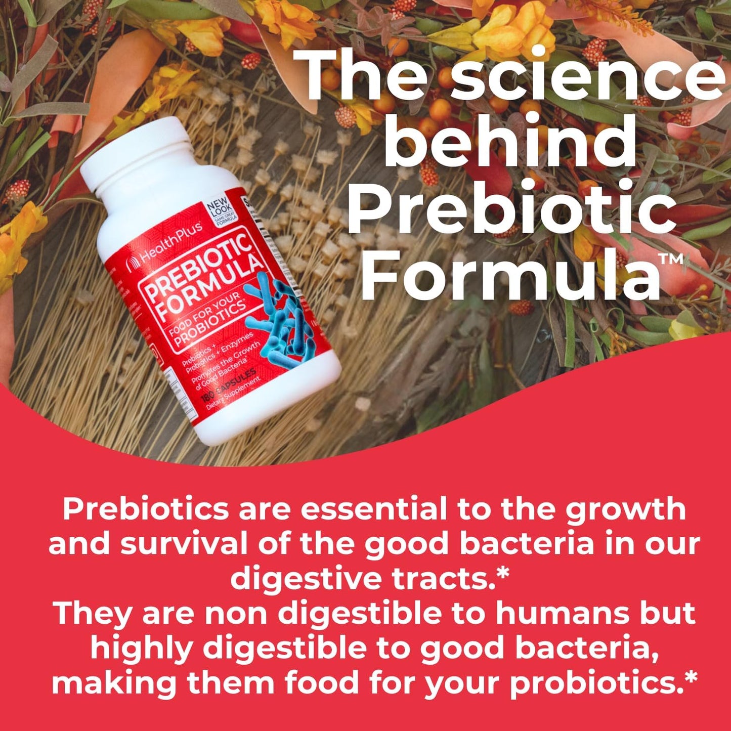 Digestive Health Supplement with Prebiotics, Probiotics, and Enzymes - Gluten-Free, Dairy-Free - 180 Capsules, 60 Servings