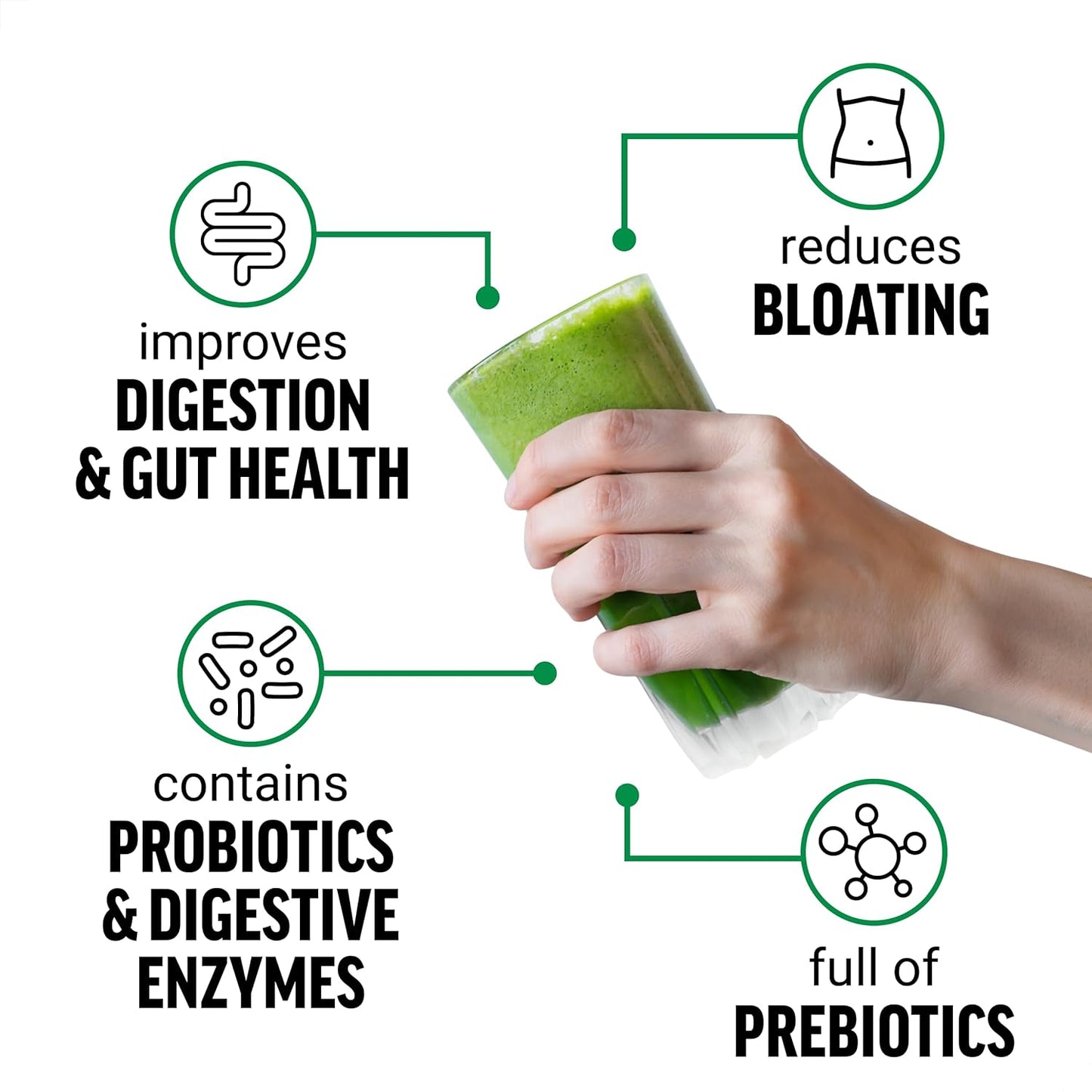 Digestive Support Superfoods Powder with Probiotics & Prebiotics, Enzymes, Adaptogens - Pomegranate Berry, 60 Servings