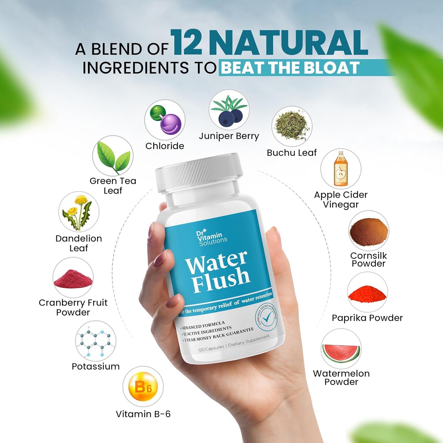 Diuretic Water Pills for Weight Control - Natural Relief from Bloating - Green Tea, Cranberry, Dandelion Extract - 120 Capsules