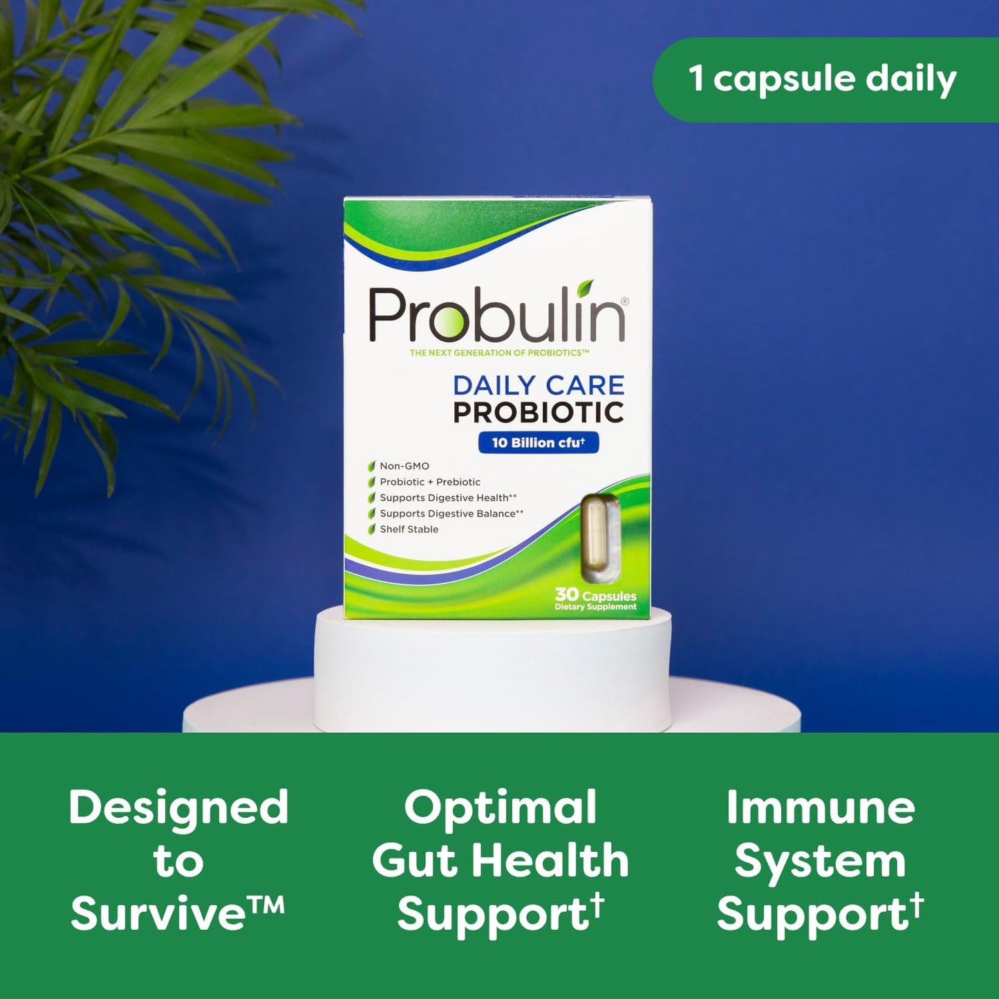 Doctor Formulated Probulin Daily Care Probiotic Capsules with 10 Billion CFU - 12 Strains for Digestive & Immune Support - Vegan, 30 Caps (Pack of 3)