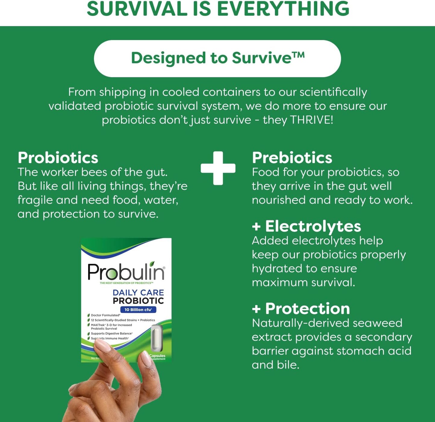 Doctor Formulated Probulin Daily Care Probiotic Capsules with 10 Billion CFU - 12 Strains for Digestive & Immune Support - Vegan, 30 Caps (Pack of 3)