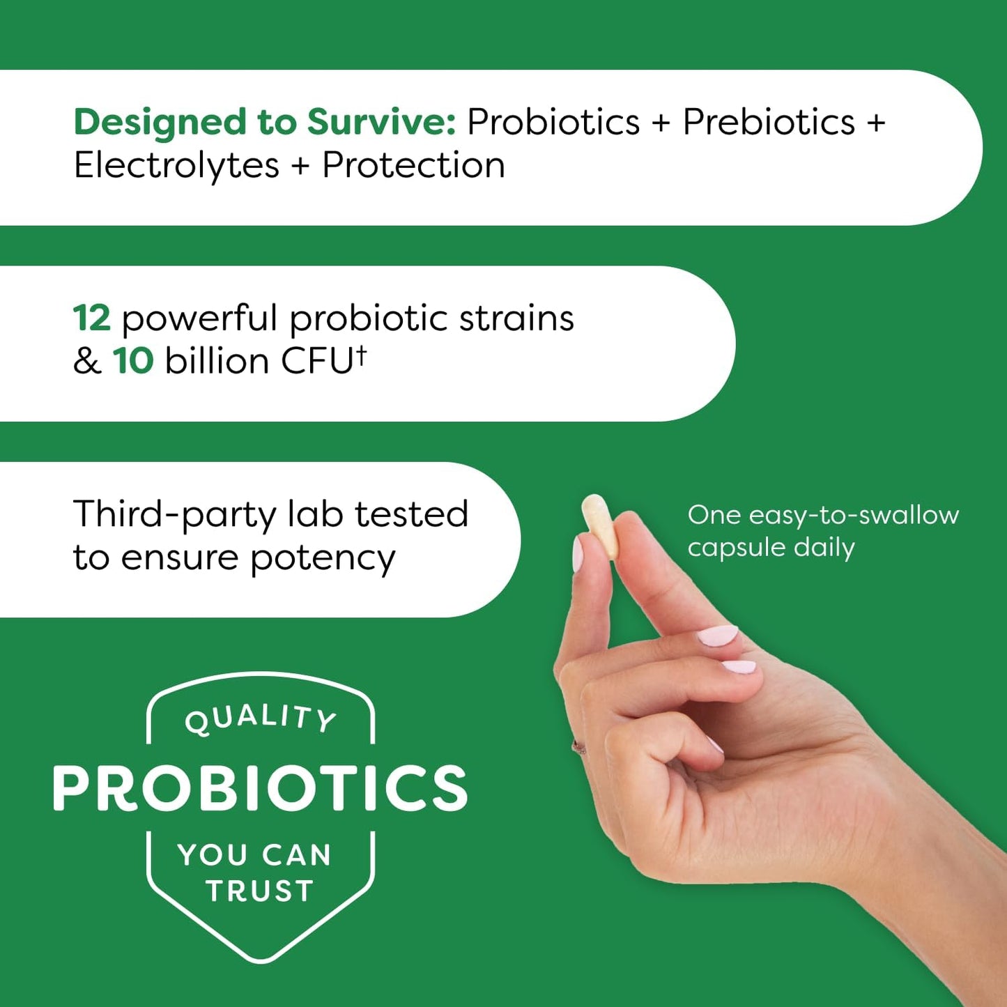 Doctor Formulated Probulin Daily Care Probiotic Capsules with 10 Billion CFU - 12 Strains for Digestive & Immune Support - Vegan, 30 Caps (Pack of 3)