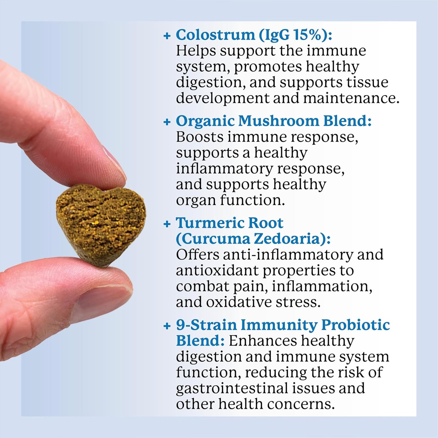 Dog Allergy & Anti-Itch Relief Soft Chew Supplement Bites with Functional Mushrooms & Probiotics