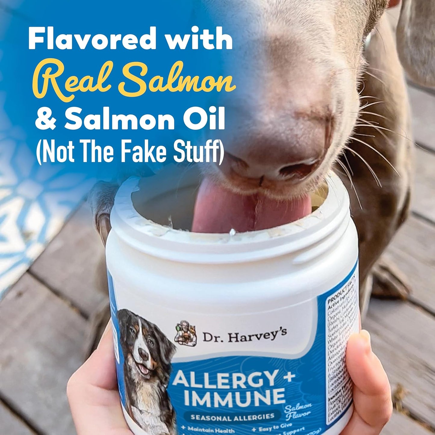 Dog Allergy & Anti-Itch Relief Soft Chew Supplement Bites with Functional Mushrooms & Probiotics