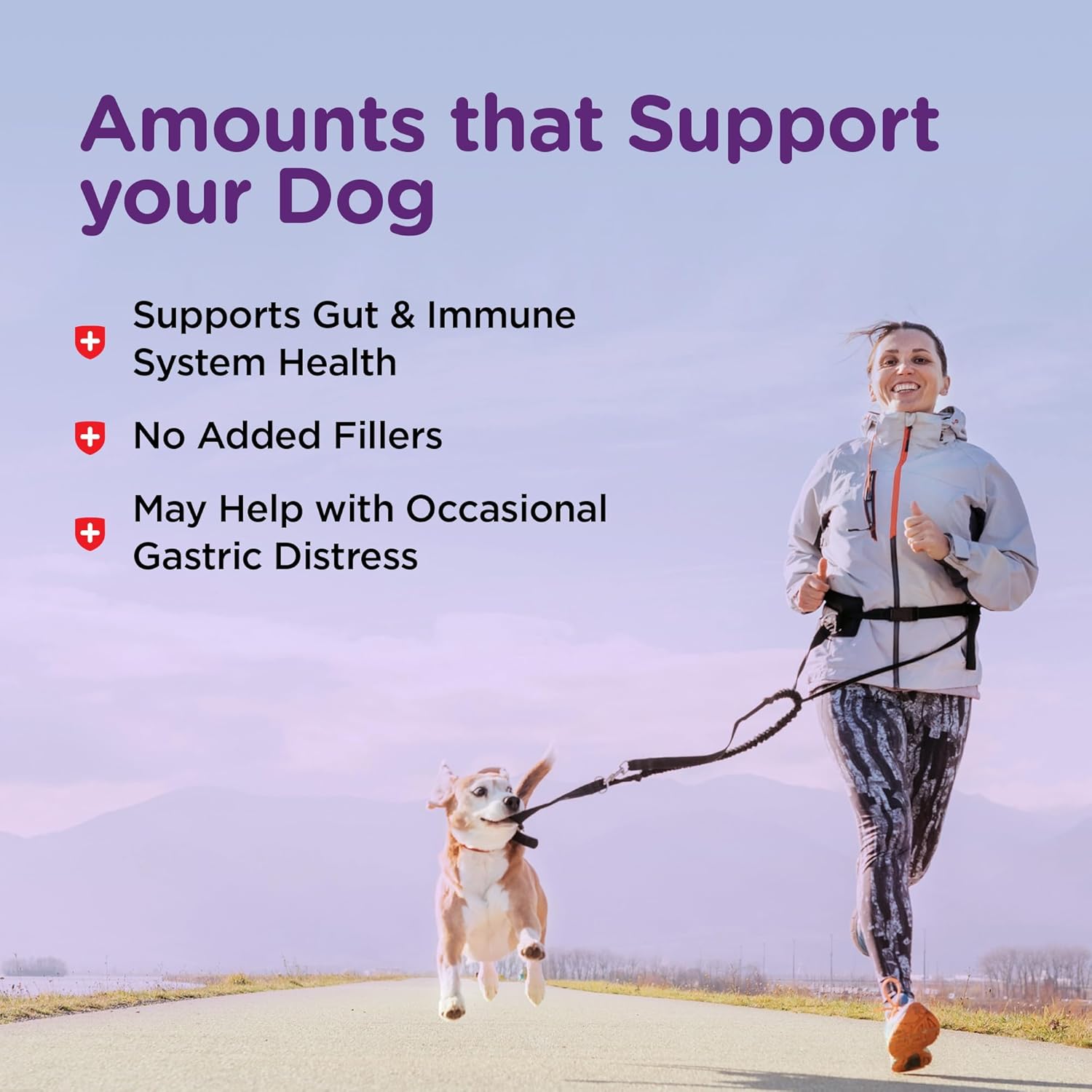 Dog Bladder Control Supplement | Reduce Urinary Incontinence in Dogs | 90 Chewable Tablets by Nutri-Vet