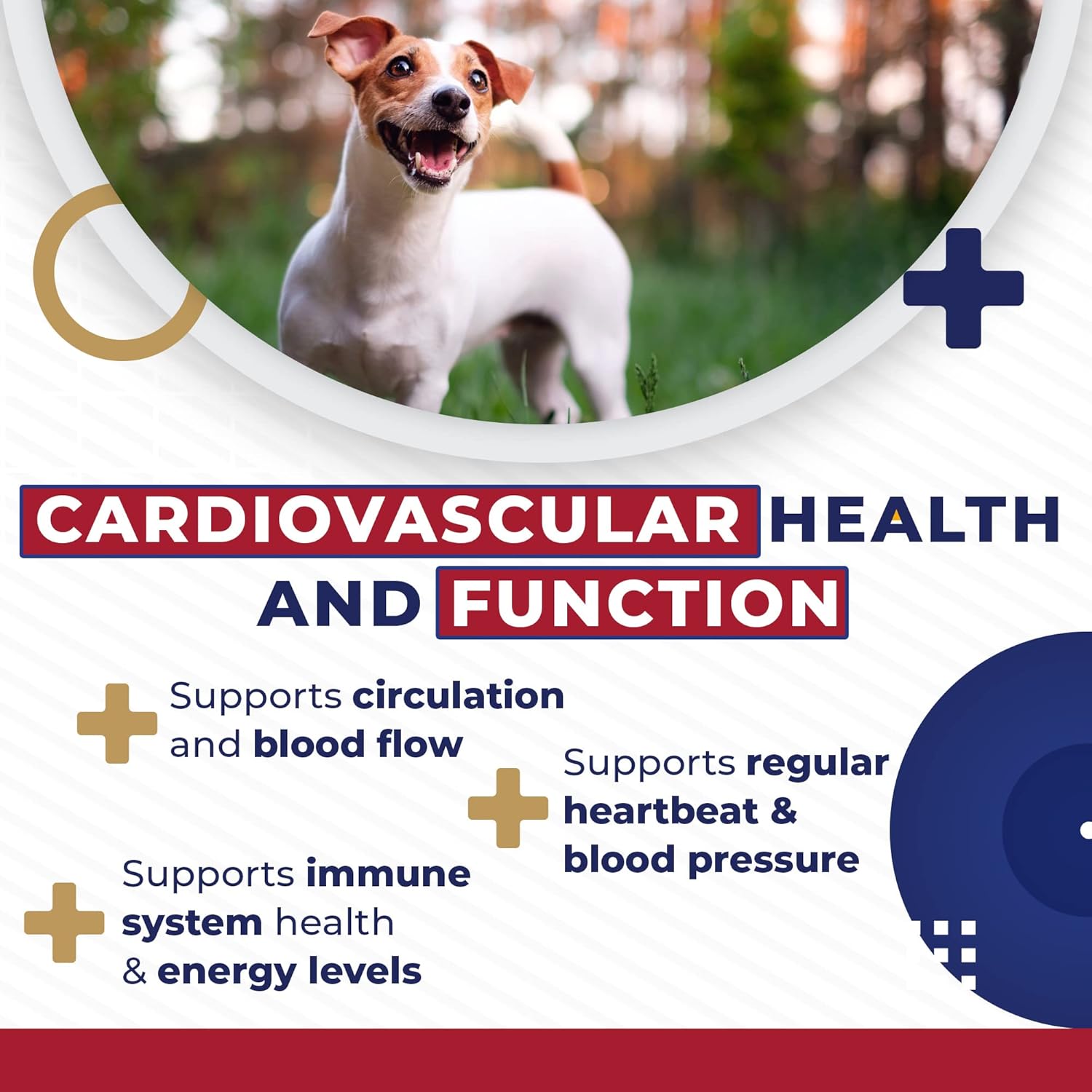 Dog Heart Support Supplement - Cardio Tabs for Cardio Strength - L-Taurine, L-Carnitine, Hawthorn - Made in USA - 120 Tablets
