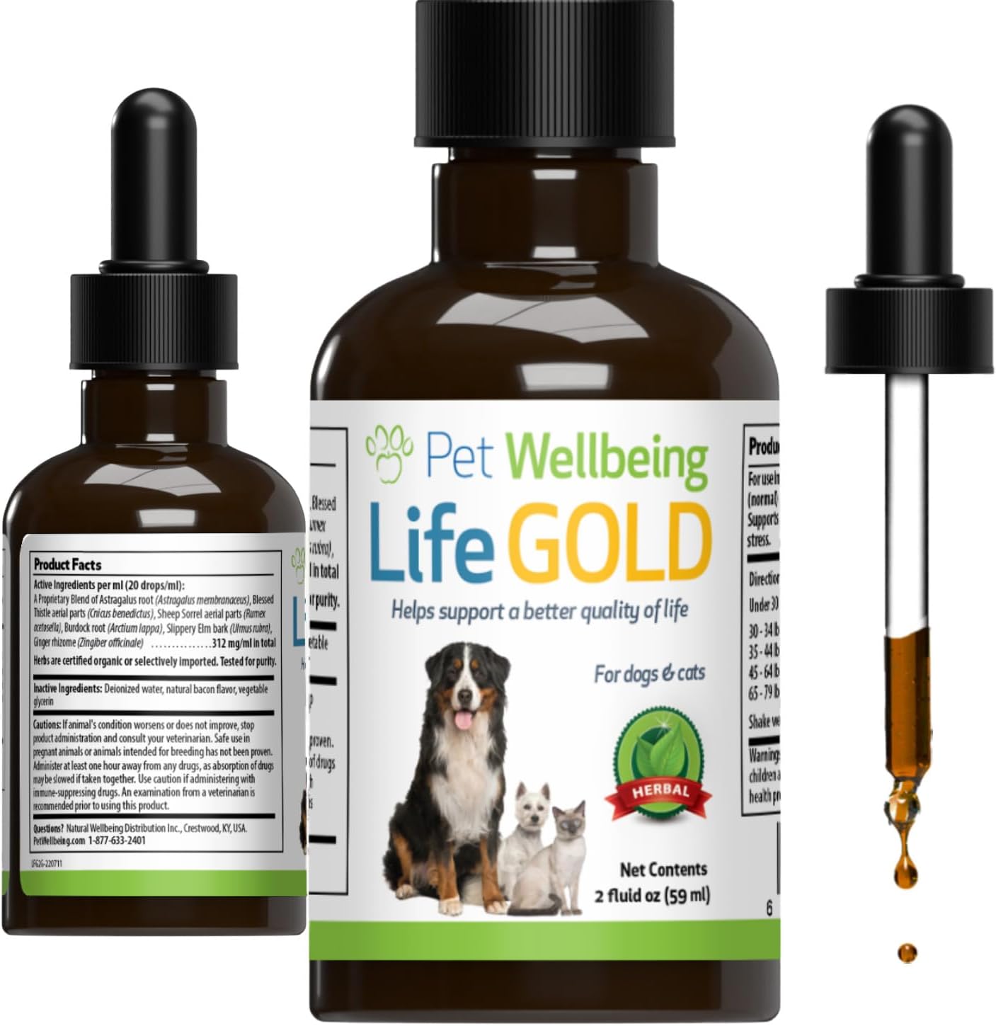 Dog Immune System Support Kit with Mushrooms - Vet-Formulated Antioxidant Protection with Turkey Tail, Reishi, Maitake, Astragalus
