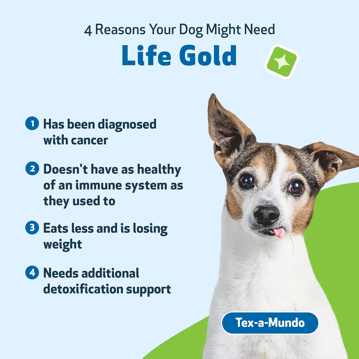 Dog Immune System Support Kit with Mushrooms - Vet-Formulated Antioxidant Protection with Turkey Tail, Reishi, Maitake, Astragalus