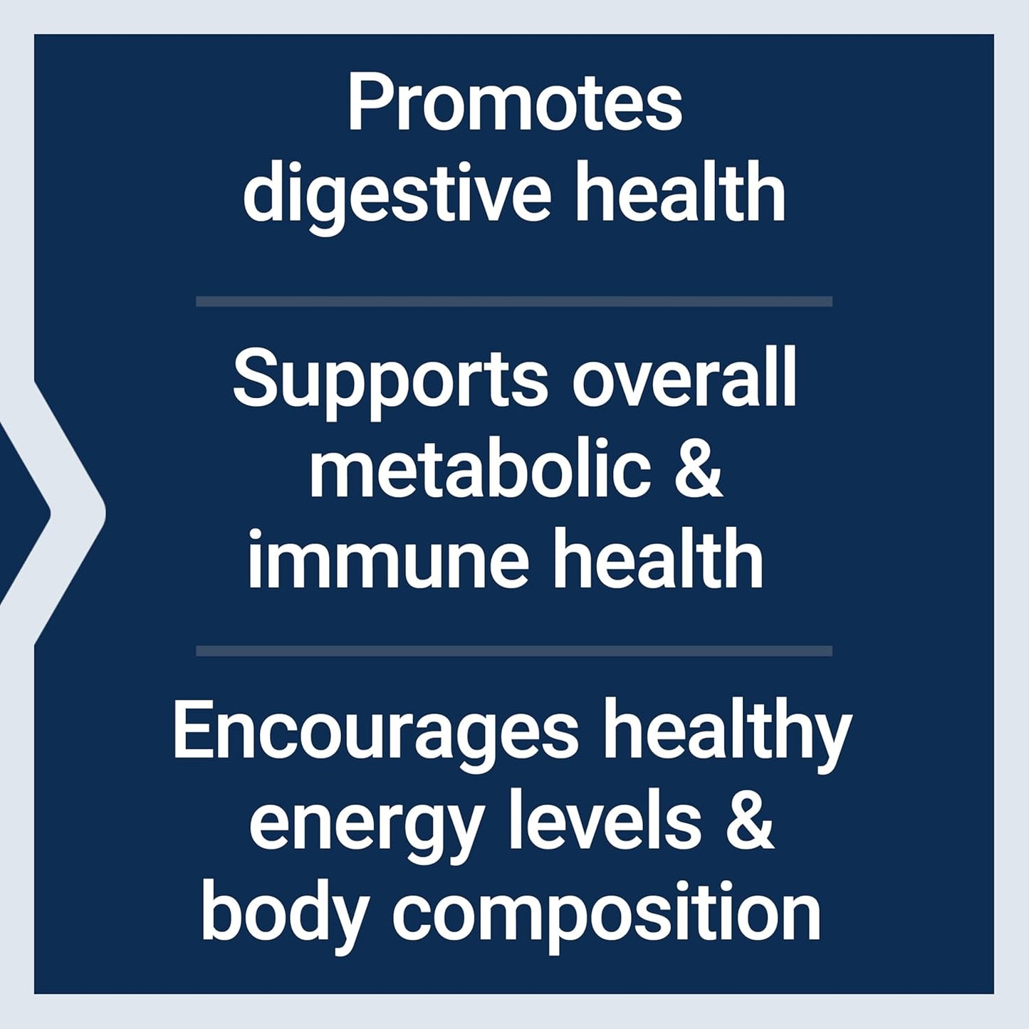 Dog Multivitamin with Probiotics, L-carnitine, B12, Folic Acid, Vitamin C, E, and Rosemary for Nutrient Absorption - 60 Servings, Gluten-Free, Non-GMO - BoostGo Australia