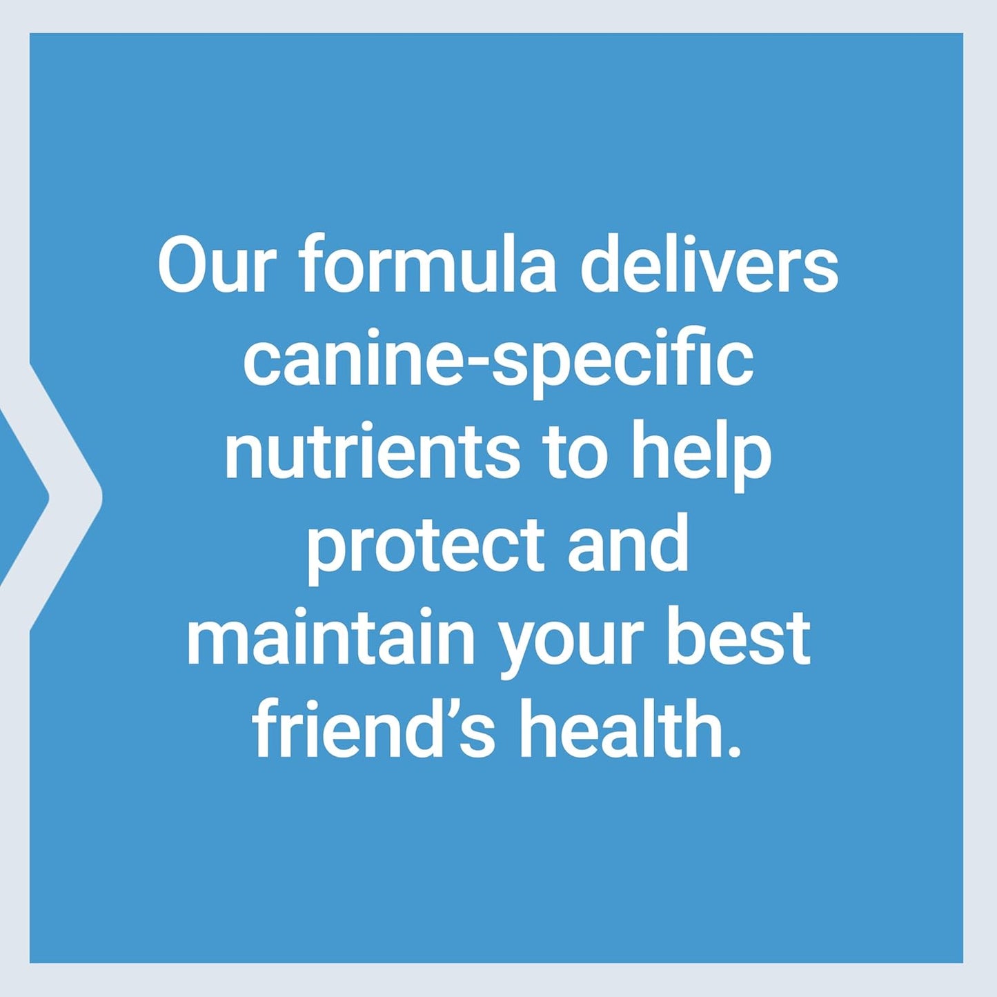 Dog Multivitamin with Probiotics, L-carnitine, B12, Folic Acid, Vitamin C, E, and Rosemary for Nutrient Absorption - 60 Servings, Gluten-Free, Non-GMO - BoostGo Australia