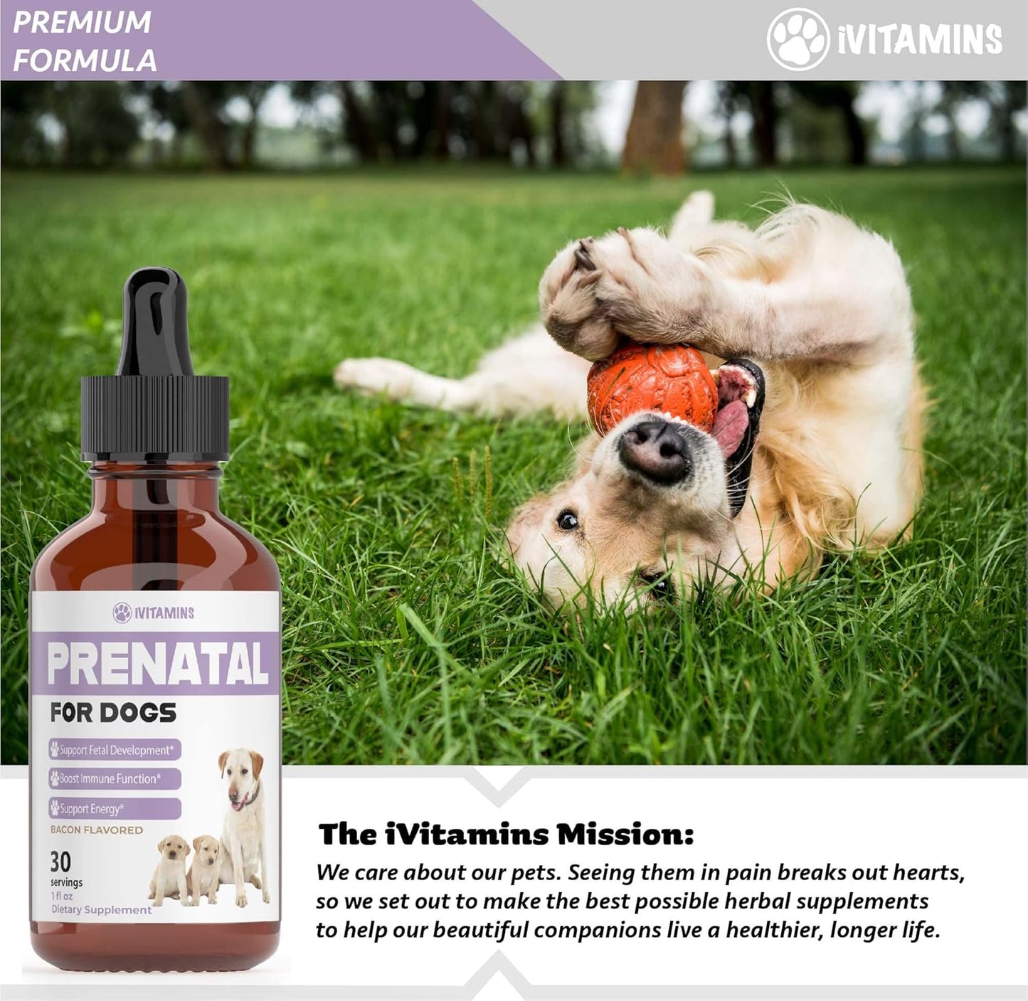 Dog Prenatal Vitamins with Vitamin B Complex & C | Essential Dog Whelping Supplies | 30 Servings