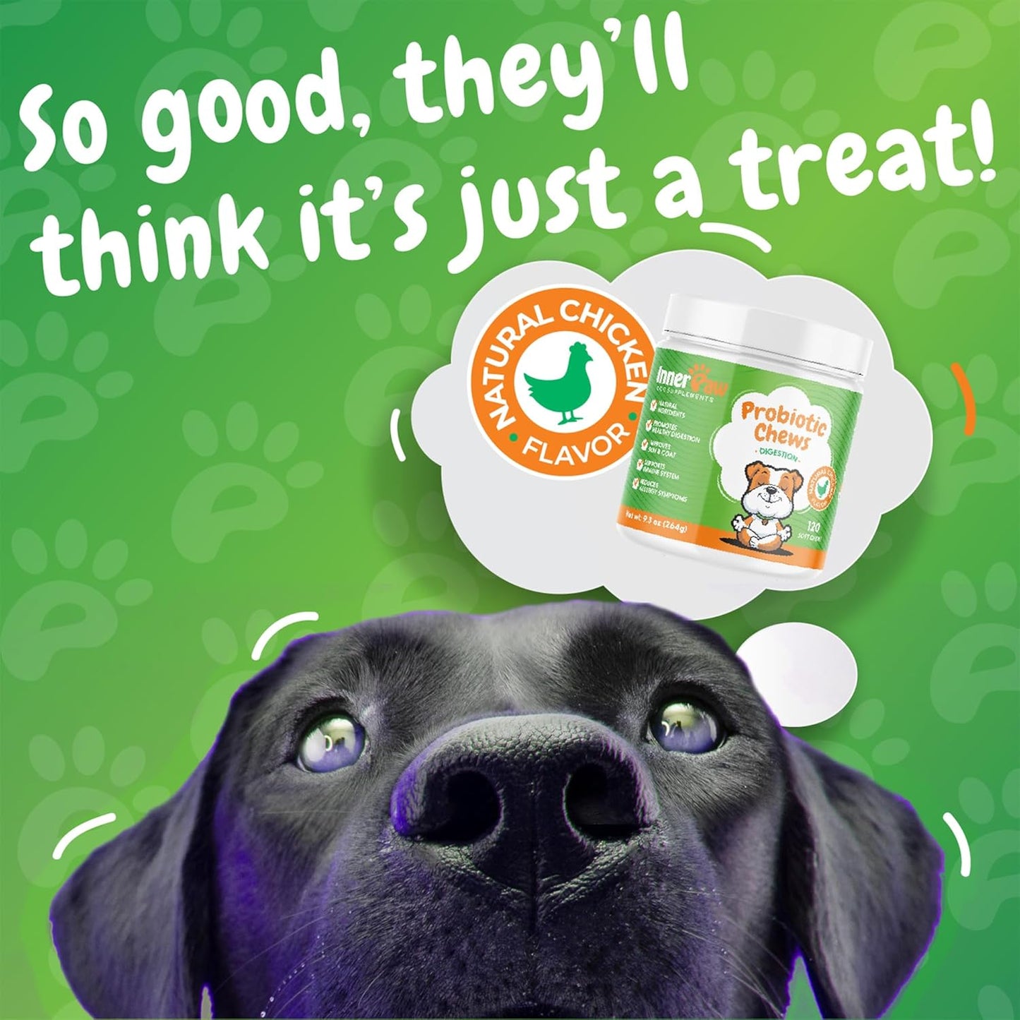 Dog Probiotic Digestive Enzymes Soft Chews - Gut Health, Diarrhea & Allergy Support - Pet Immune System Boost - 120 Chicken Flavored Chewables