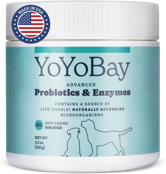 Dog Probiotics for Gut Health, Immune Support, and Itchy Skin Relief - 60 Soft Chews with 1 Billion CFUs