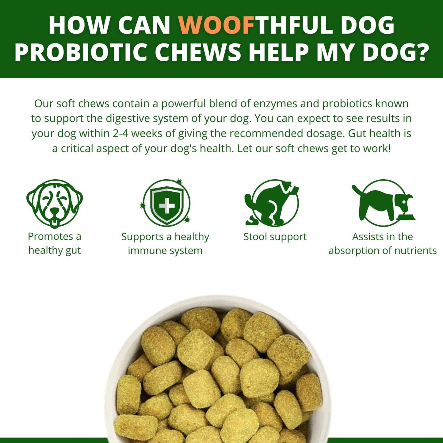 Dog Probiotics Soft Chews - Digestive & Immune Support for Dogs - 120 ct - Made in USA