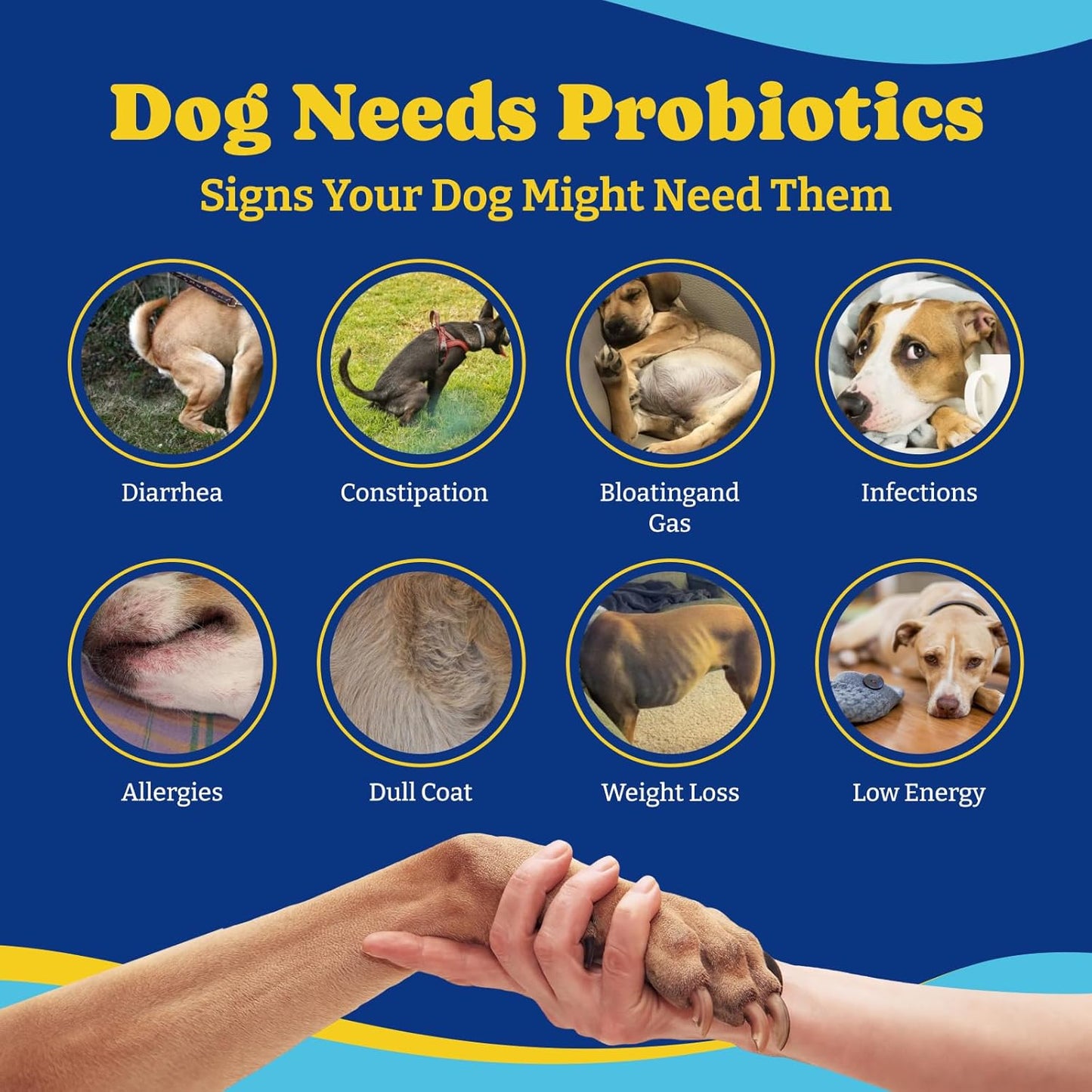 Dog Probiotics with Prebiotics, Digestive Enzymes - 6 Billion CFUs for Gut, Immune & Skin Health - Turkey & Pumpkin Flavor, 180 Soft Chews